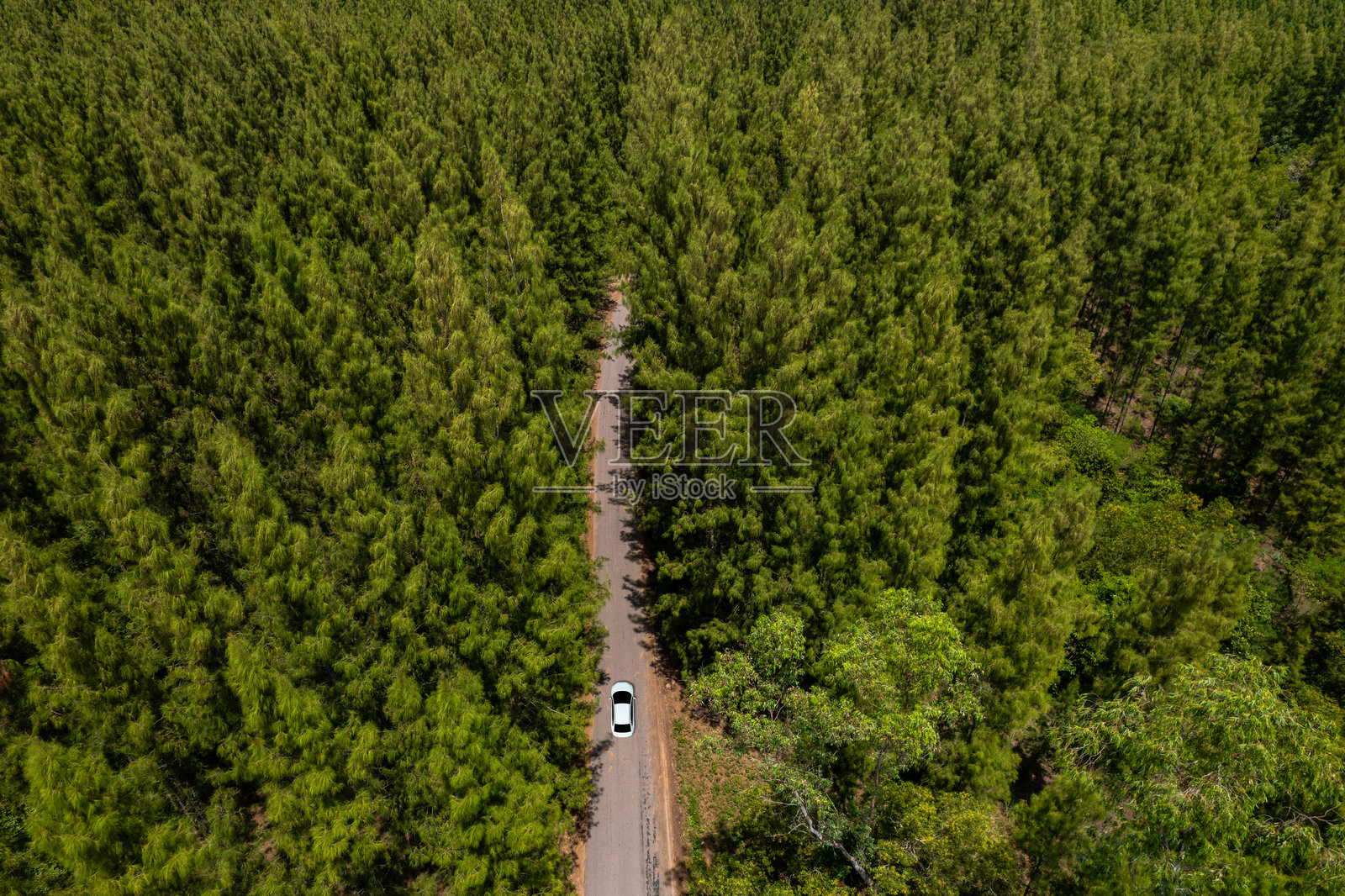 深绿色森林道路和白色电动车的鸟瞰图，自然风光与高架道路，冒险旅行、交通与环保理念。照片摄影图片