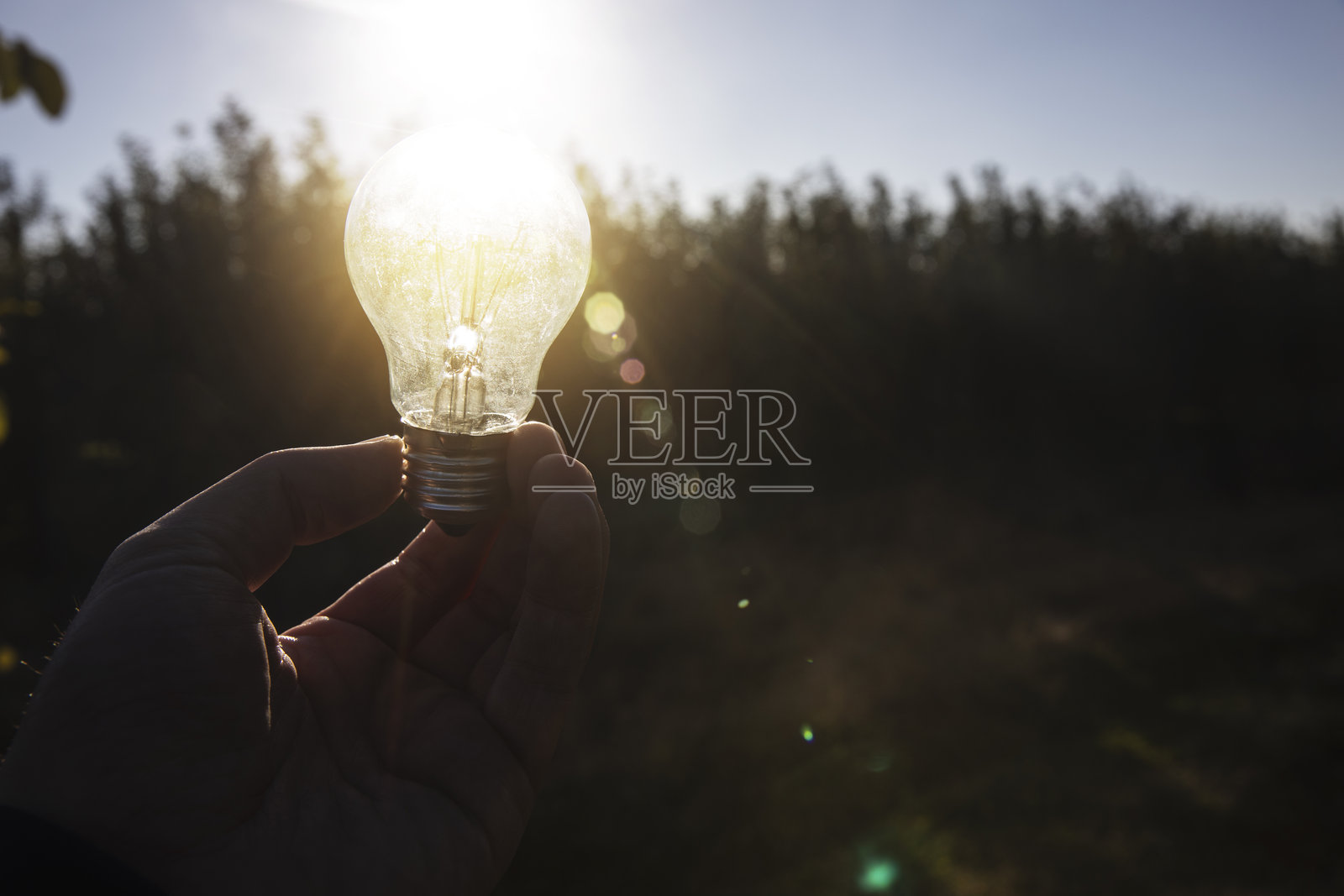 男人手握着自然中的灯泡照片摄影图片