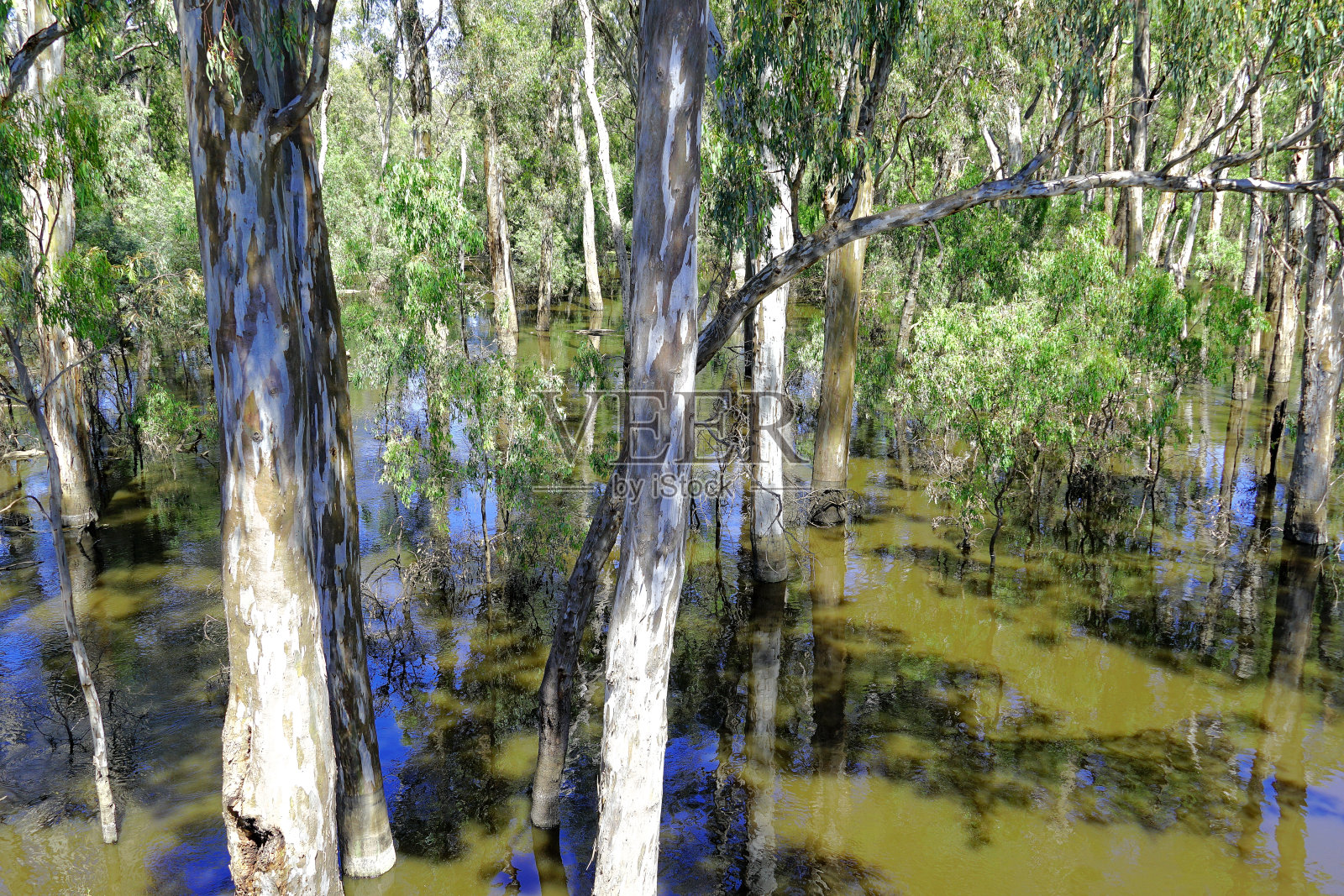 埃丘卡，维多利亚州，澳大利亚北部乡村照片摄影图片