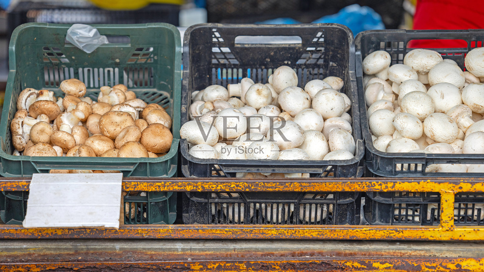 蘑菇农贸市场照片摄影图片