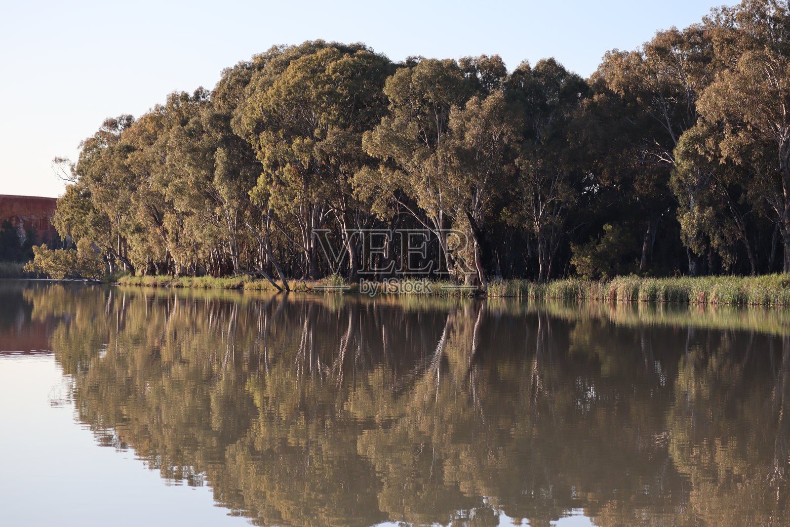 穆雷河照片摄影图片