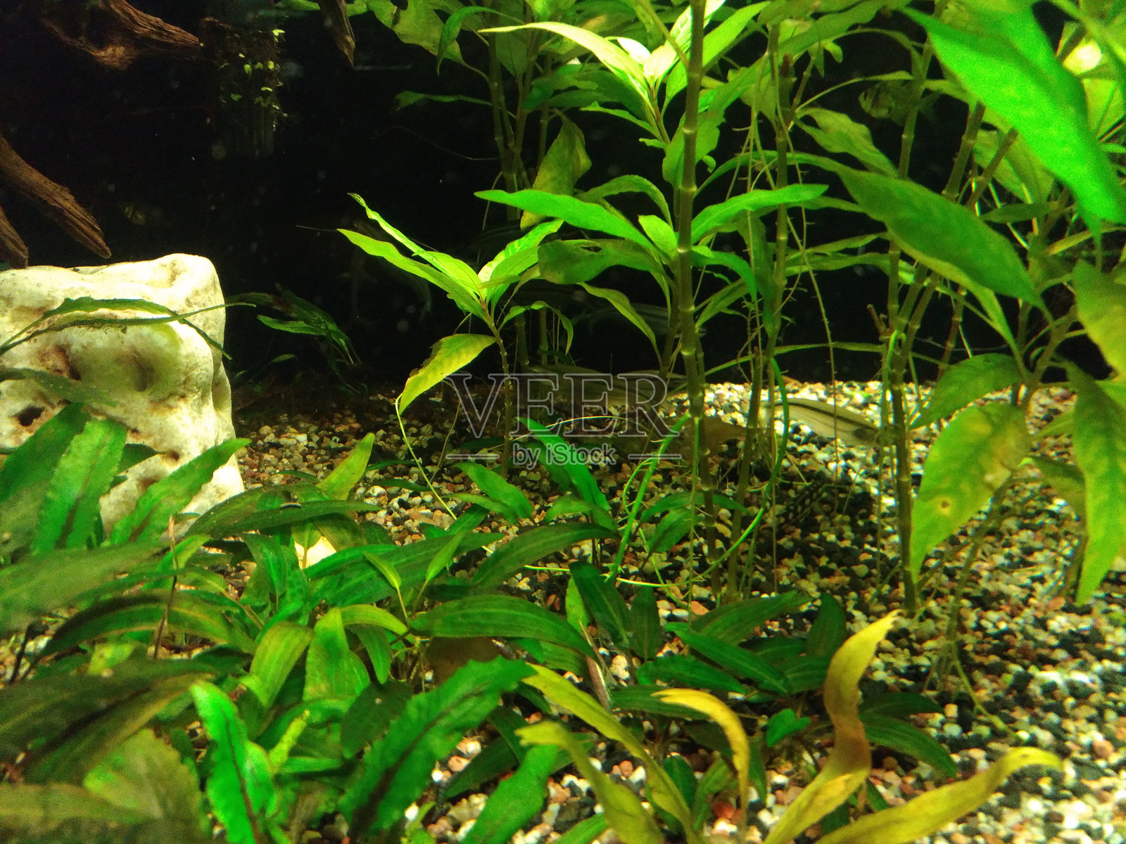 海洋馆的水下世界照片摄影图片