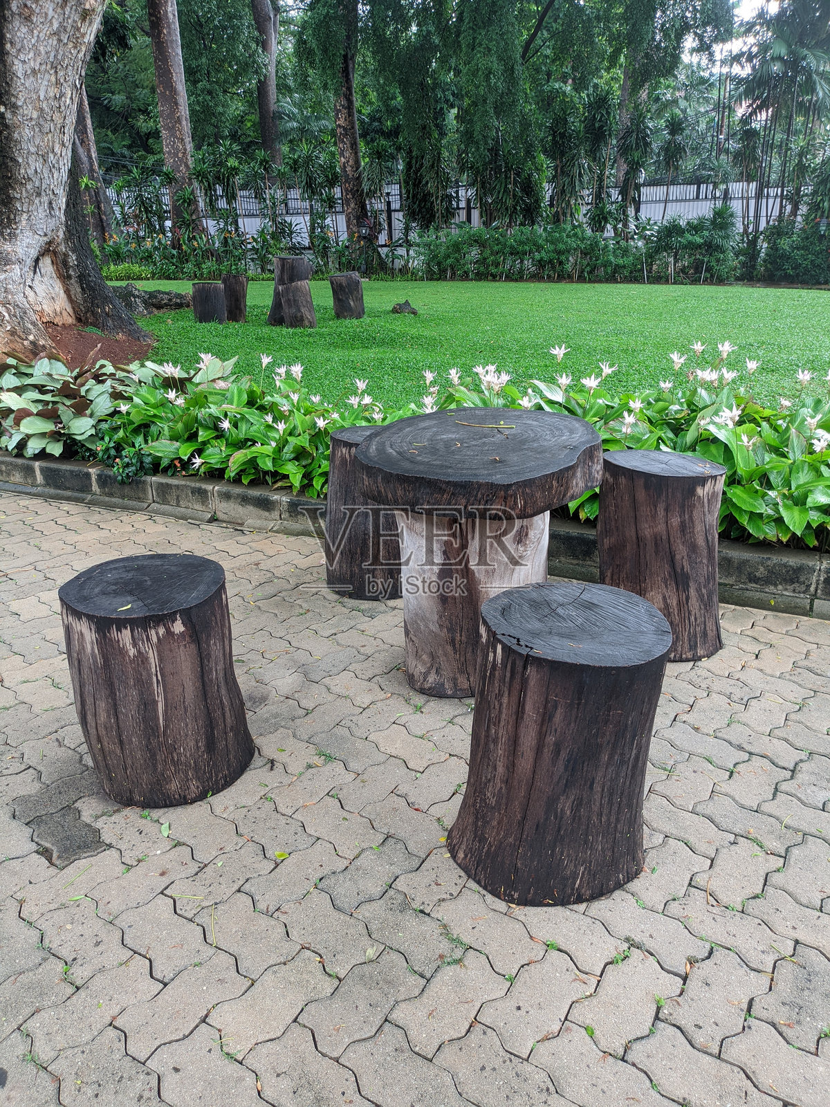 木椅照片摄影图片