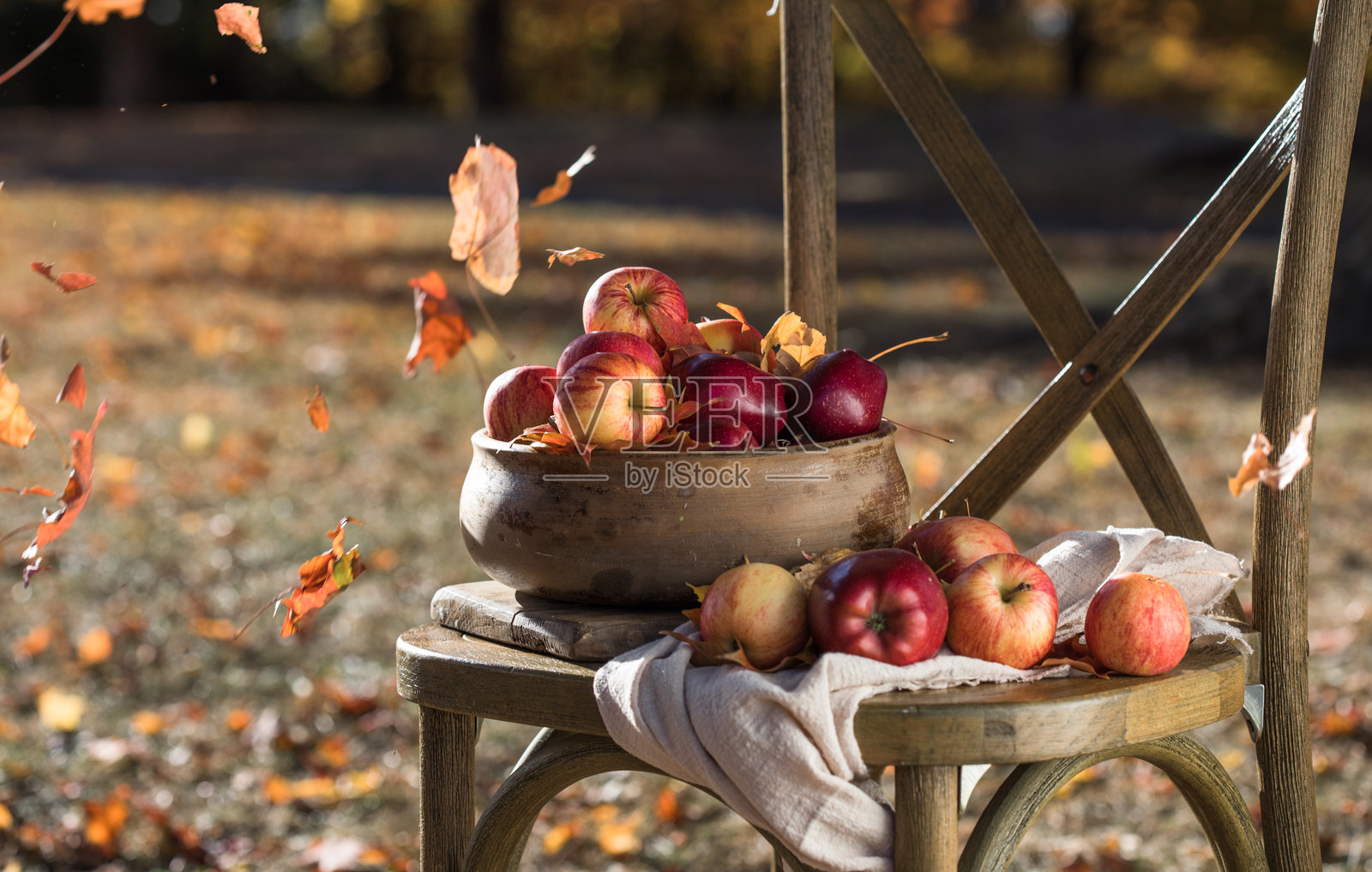 园艺与收获。秋季苹果作物在花园中收获。阳光明媚的秋日，苹果树上的水果放在木碗中。照片摄影图片