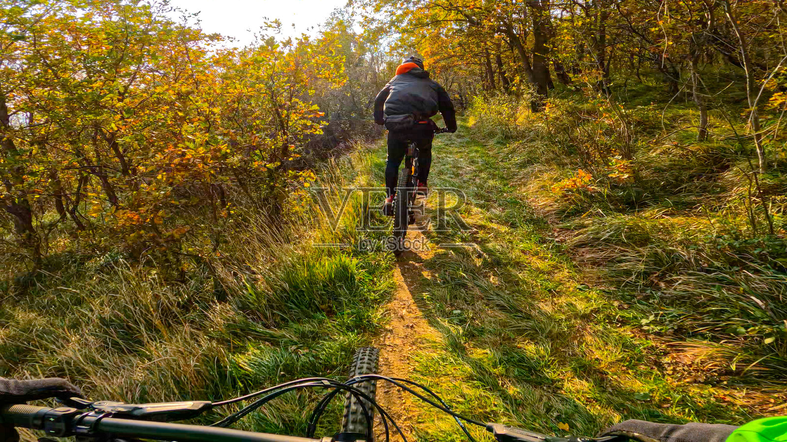 视角：在阳光明媚的秋日，与朋友一起骑山地自行车沿着森林小径行驶照片摄影图片