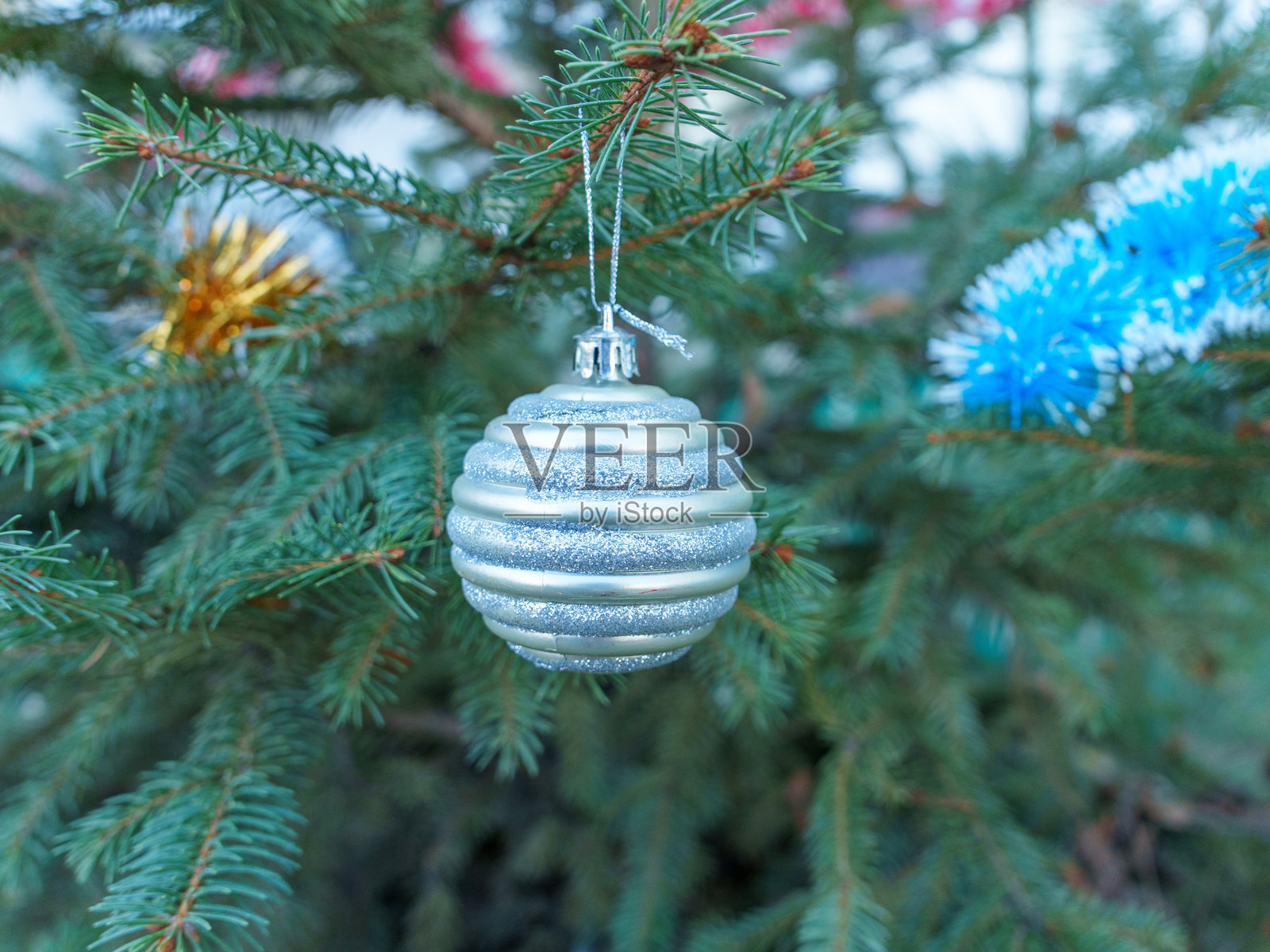 节日期间挂在常青树枝上的银色装饰品照片摄影图片