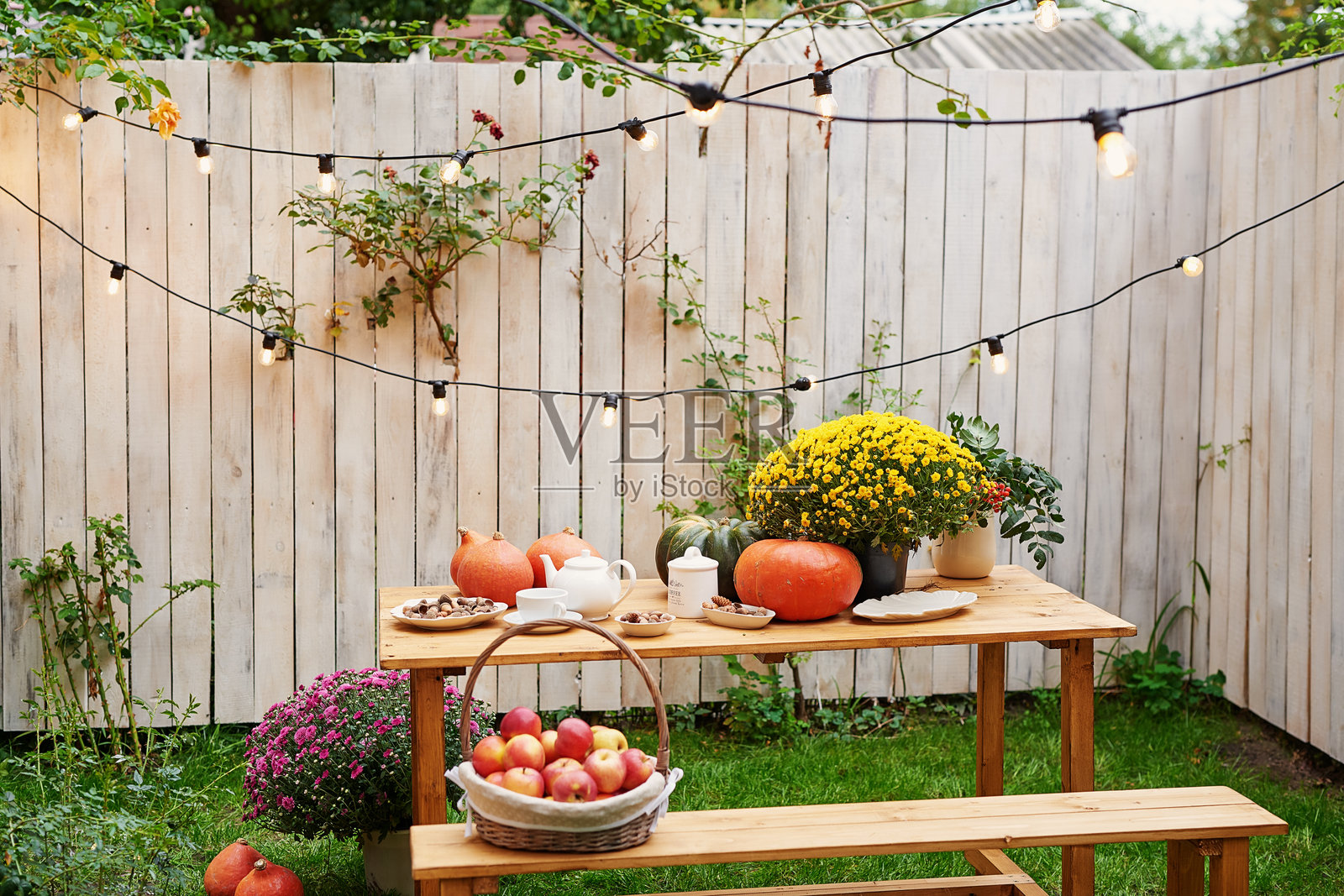 一位女性在秋天的花园里照片摄影图片