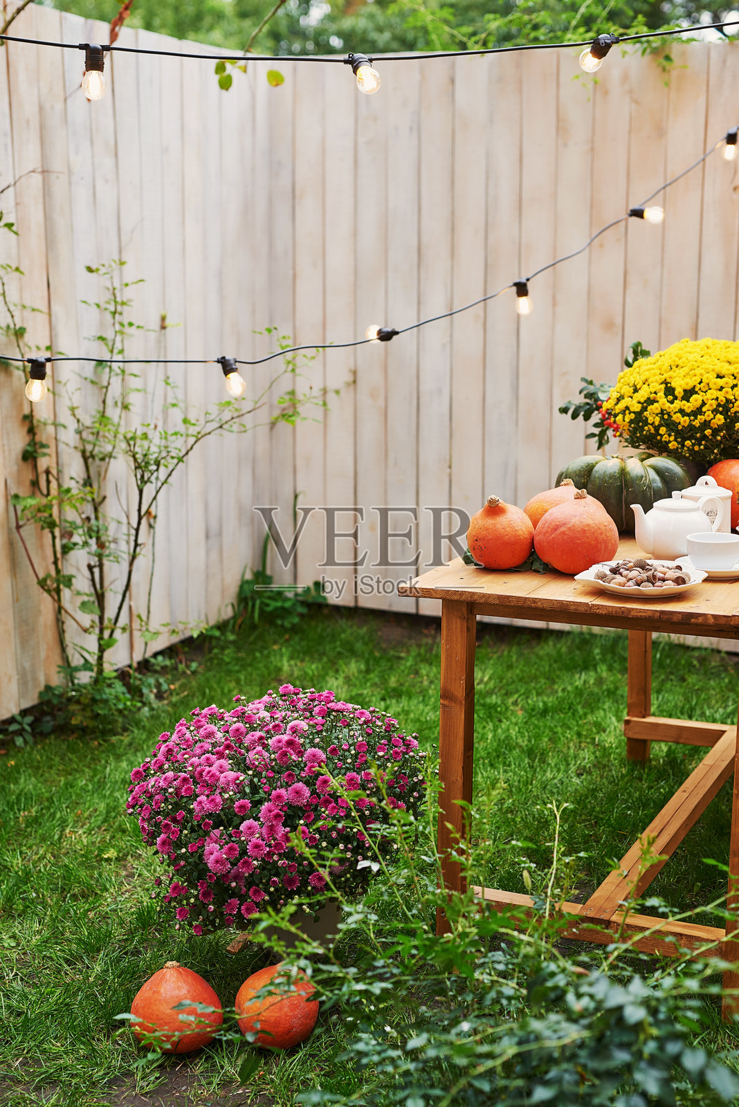 一位女性在秋天的花园里照片摄影图片