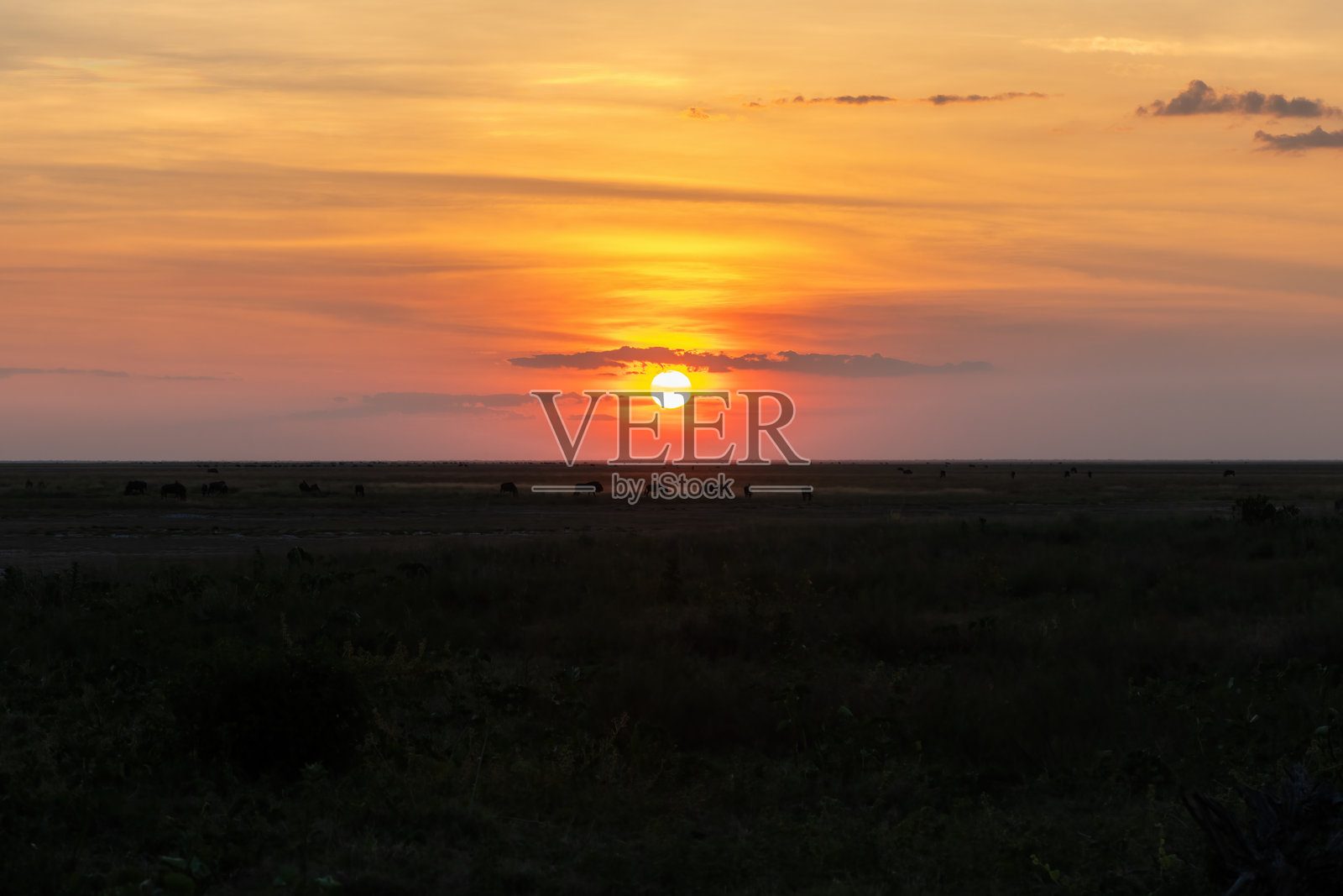 刘瓦平原国家公园的日落照片摄影图片