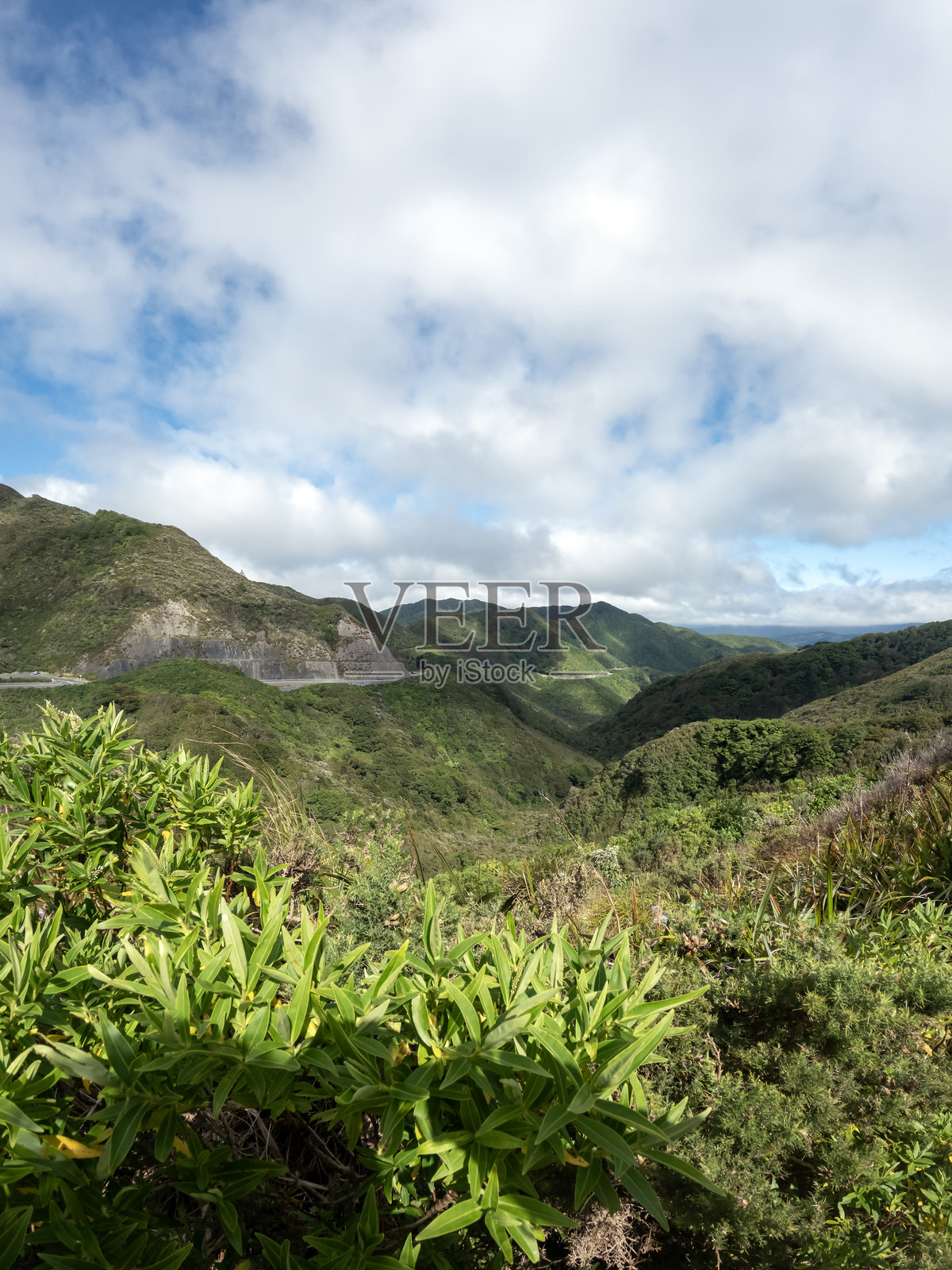 阿奥朗吉山脉和森林公园 - 新西兰怀拉拉帕的壮丽山景、郁郁葱葱的本土森林和全景视野照片摄影图片