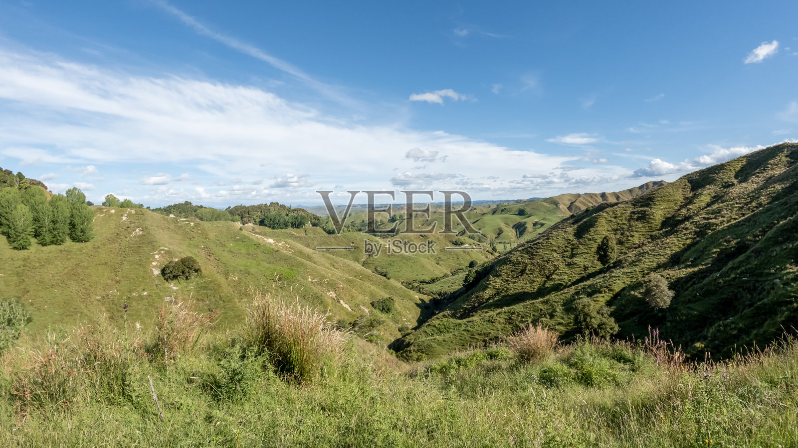 在新西兰北岛的被遗忘世界公路上，穿越郁郁葱葱的起伏山丘和崎岖的乡村风光——农田、草地和原生森林照片摄影图片