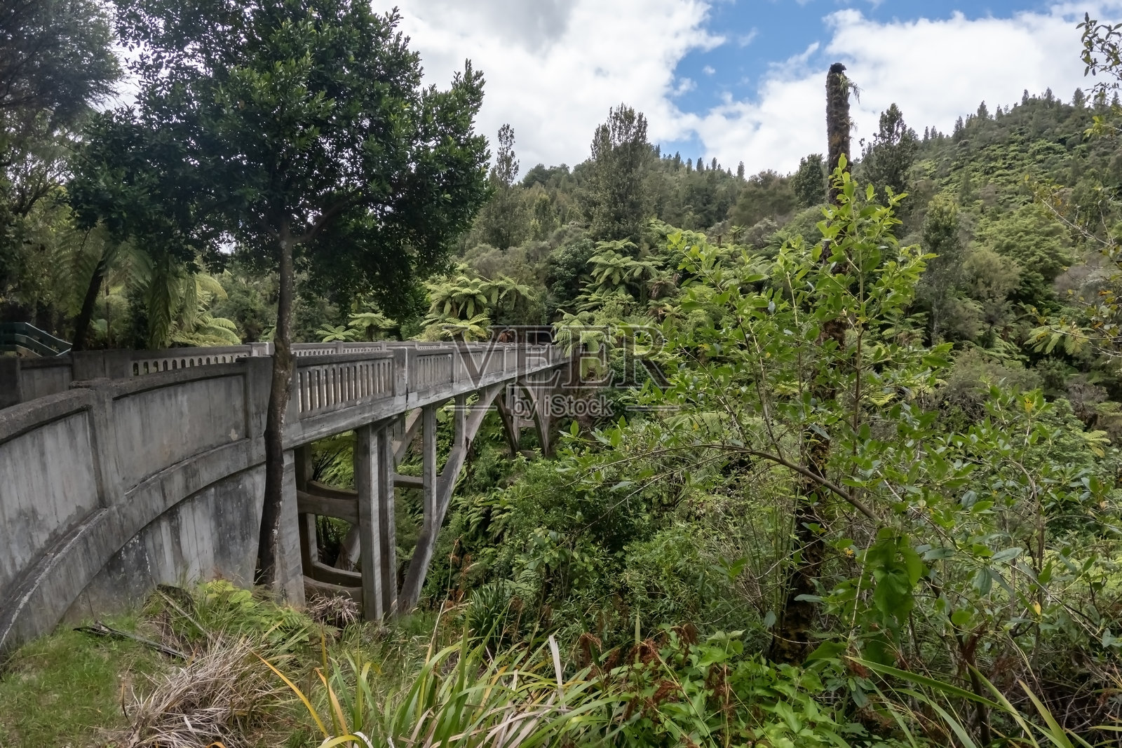 无处可去的桥：新西兰偏远荒野中的废弃风景地标，位于旺阿努伊国家公园照片摄影图片