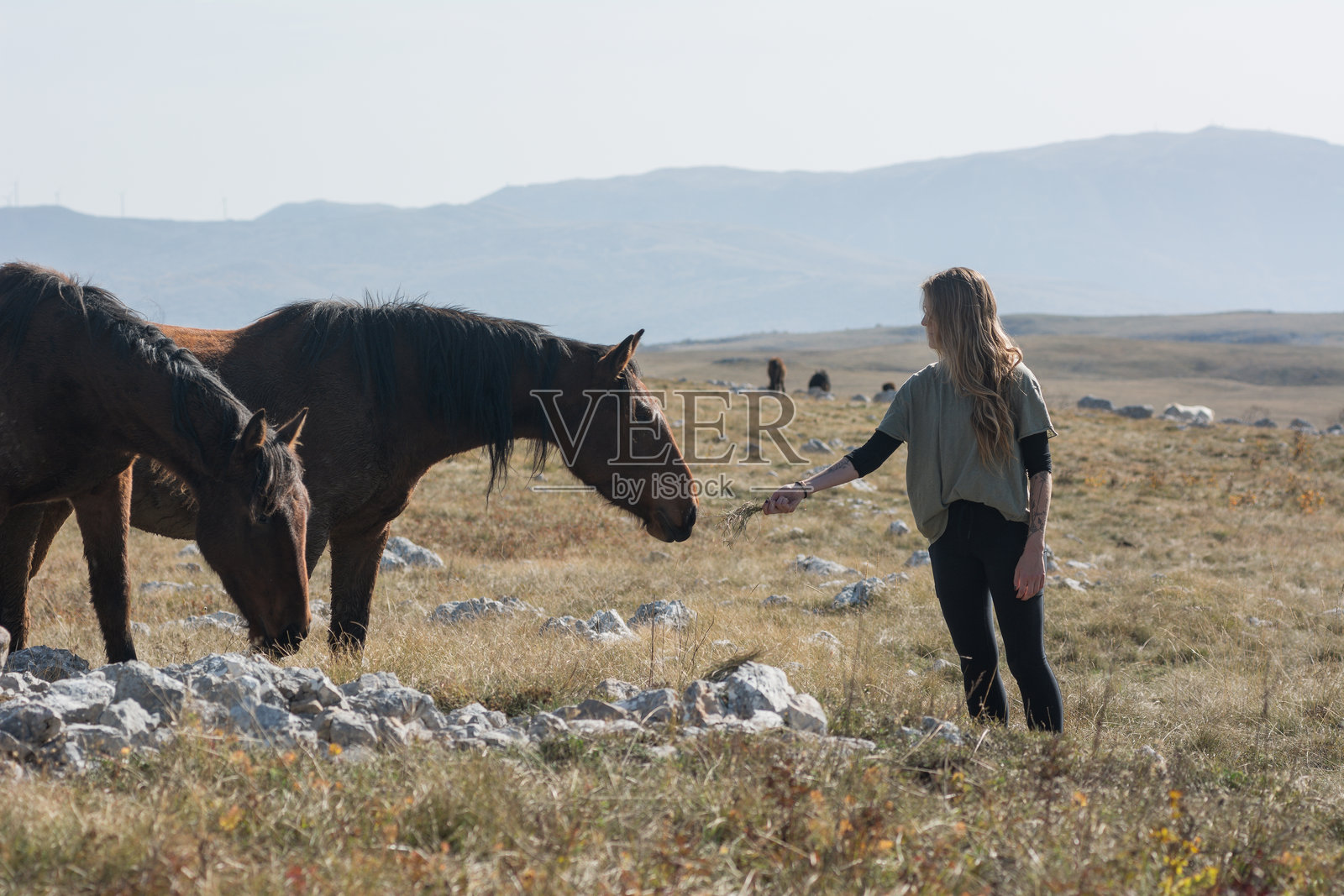 金发女孩在牧场中沉思，旁边有一匹自由的马。照片摄影图片