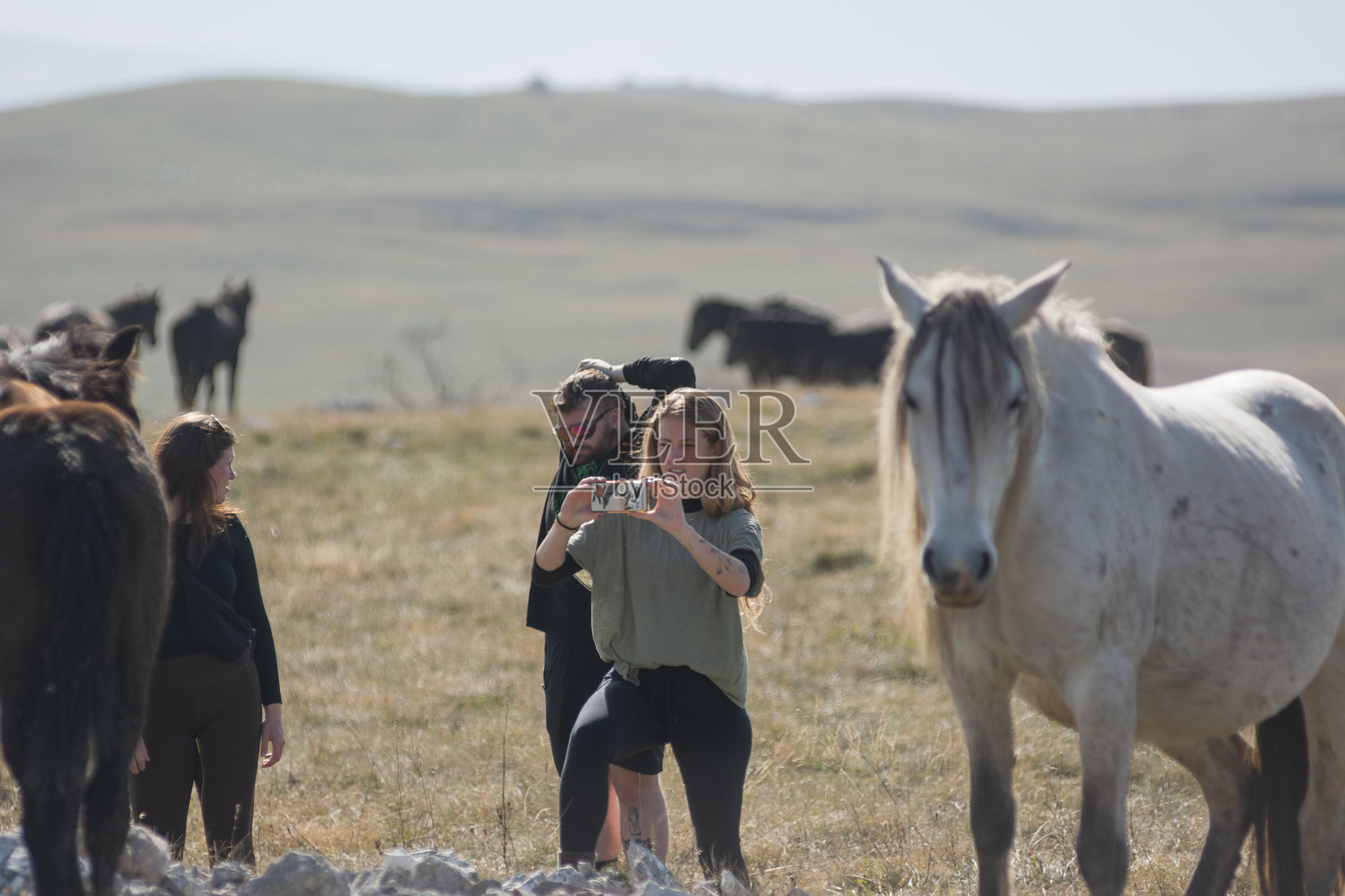 女孩们在大自然中与自由奔跑的马匹共享独特的体验照片摄影图片