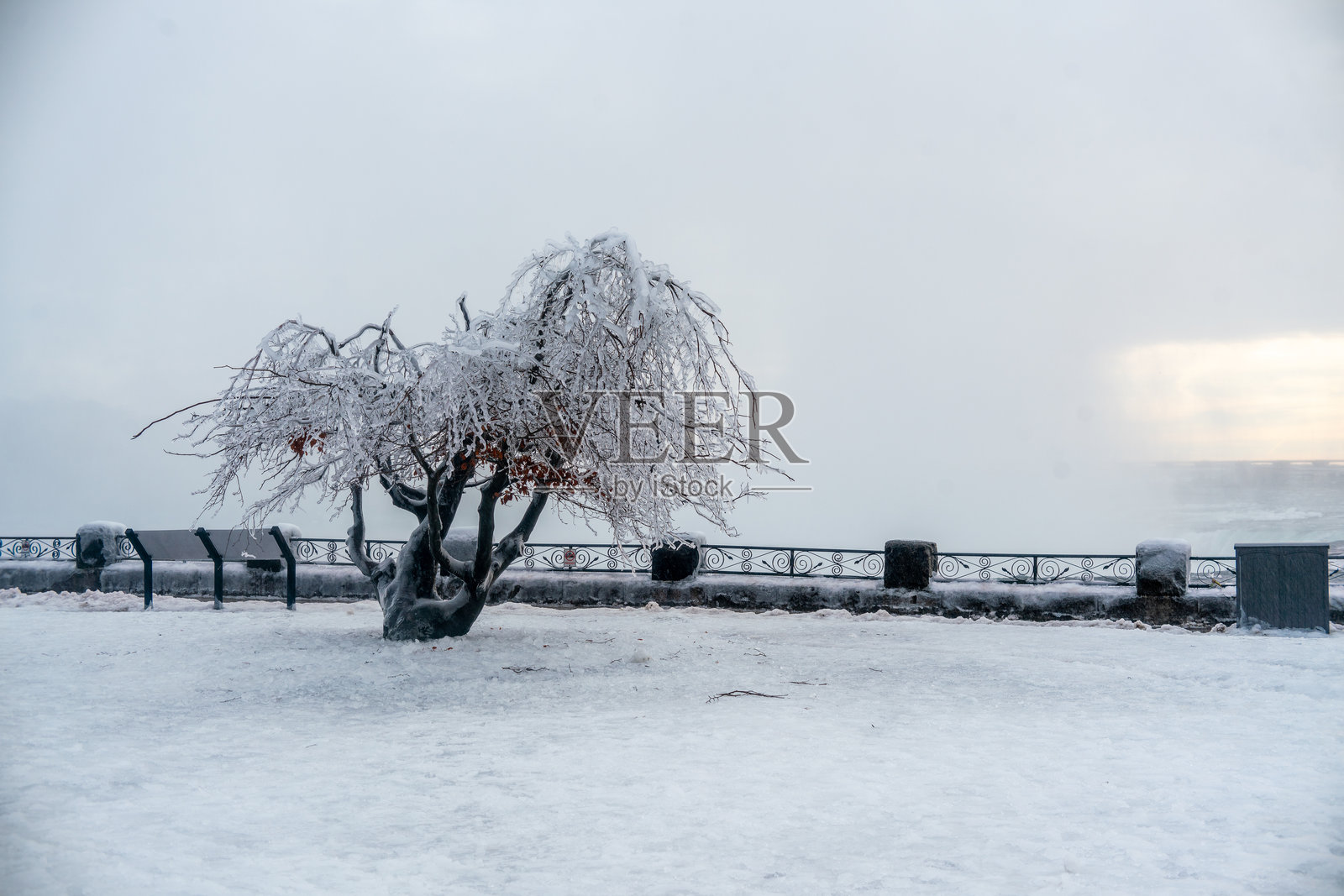 尼亚加拉大瀑布 - 冬季结冰的树木照片摄影图片