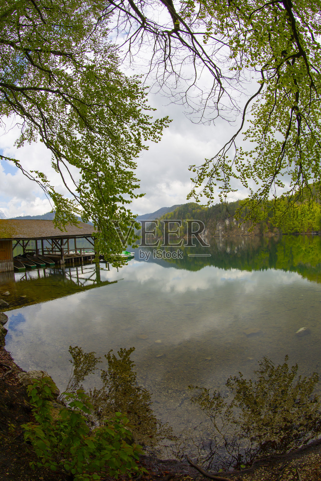 德国巴伐利亚州奥斯塔尔高地区的阿尔普湖照片摄影图片