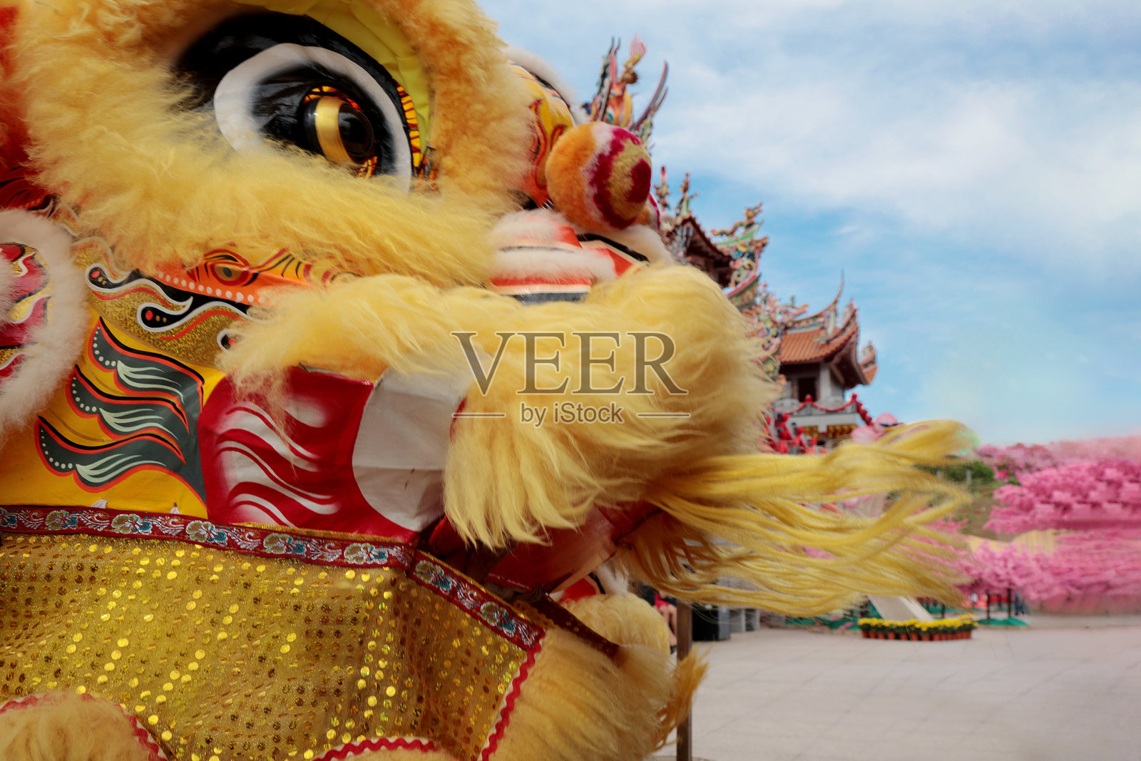 春节庆祝活动照片摄影图片