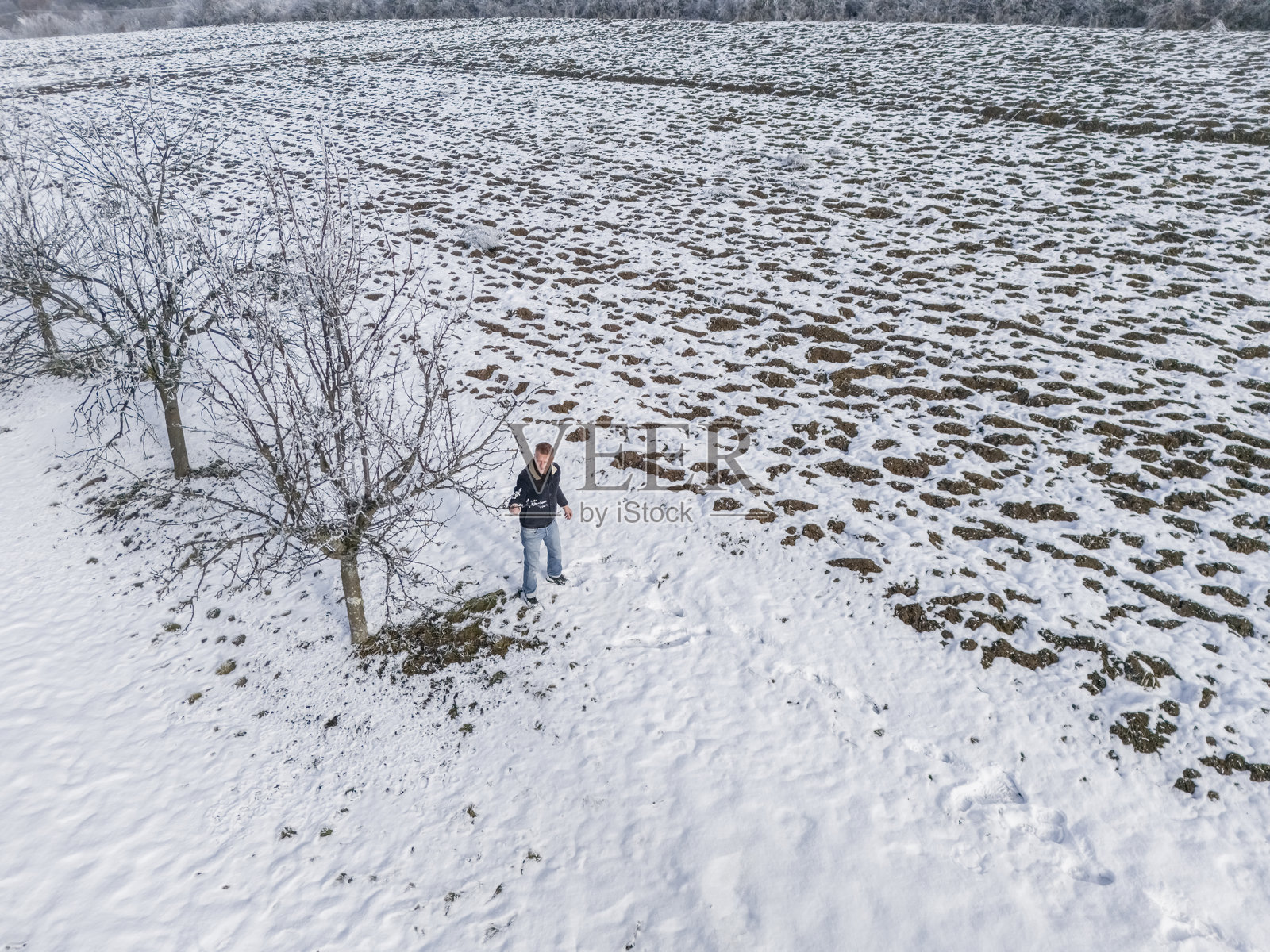 小型企业可持续农业，冬季田野照片摄影图片
