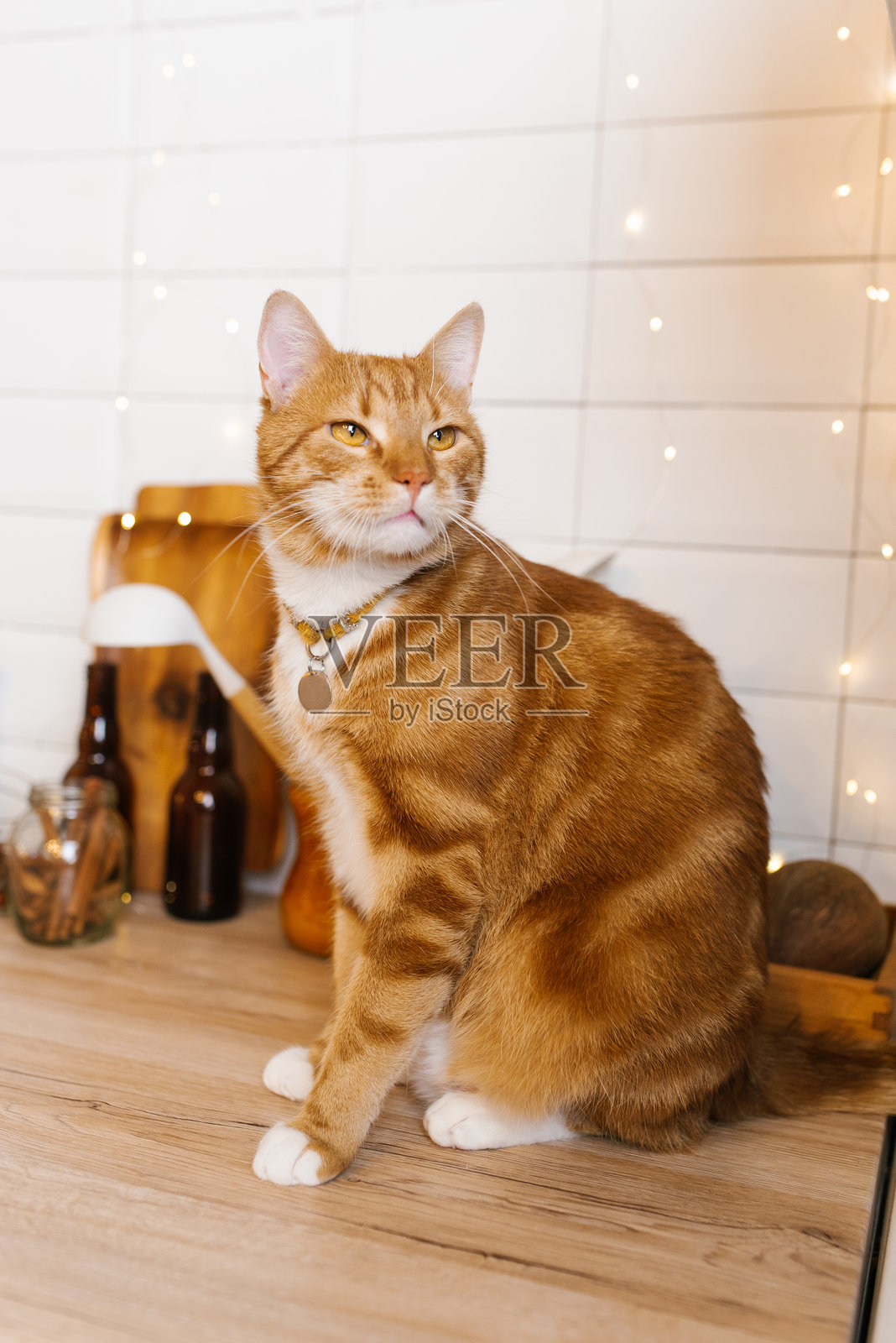一只戴着项圈的红猫坐在厨房的木制台面上照片摄影图片