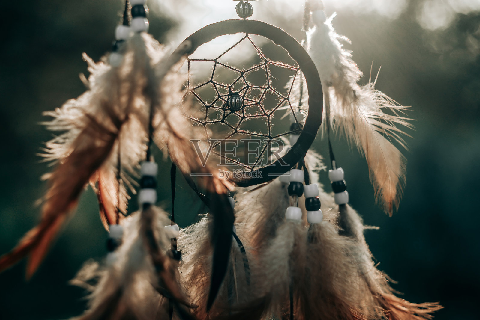 梦捕手，美国土著精神波西米亚吉祥物照片摄影图片