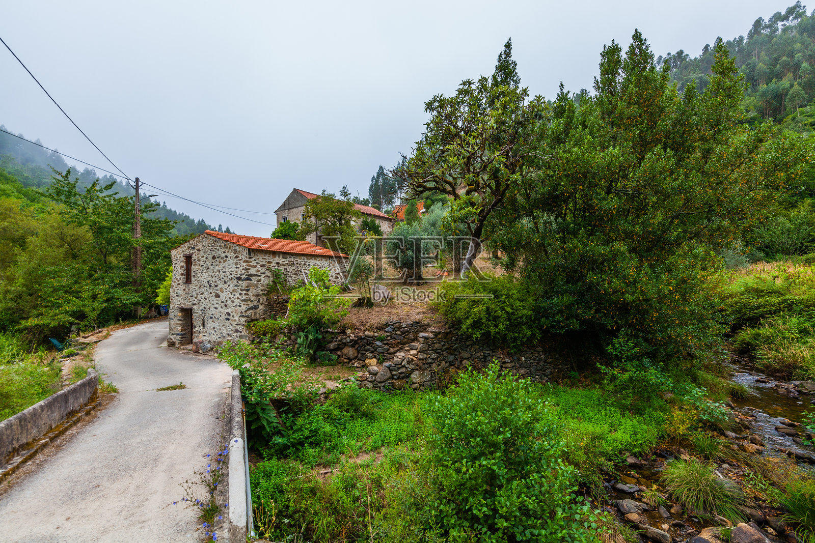 一幅如画的乡村景象，石头房屋、跨越小溪的桥梁，以及四周郁郁葱葱的绿意。照片摄影图片