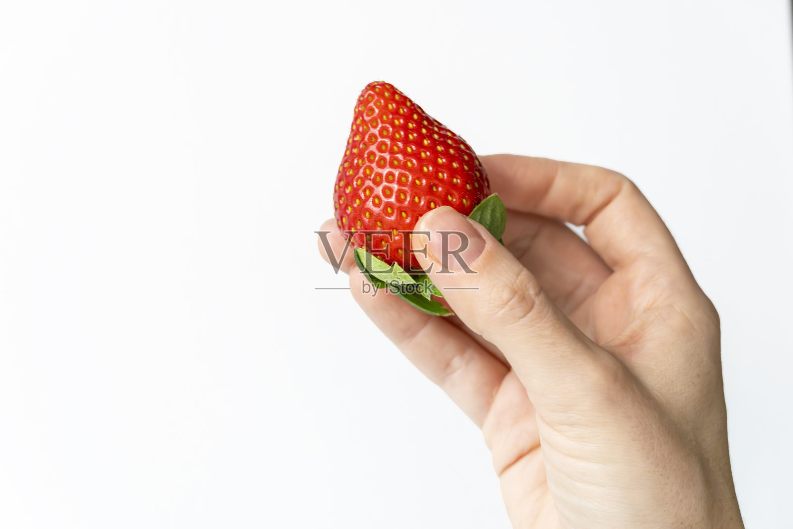 女性手握着一颗成熟的有机草莓，正在采摘。照片摄影图片