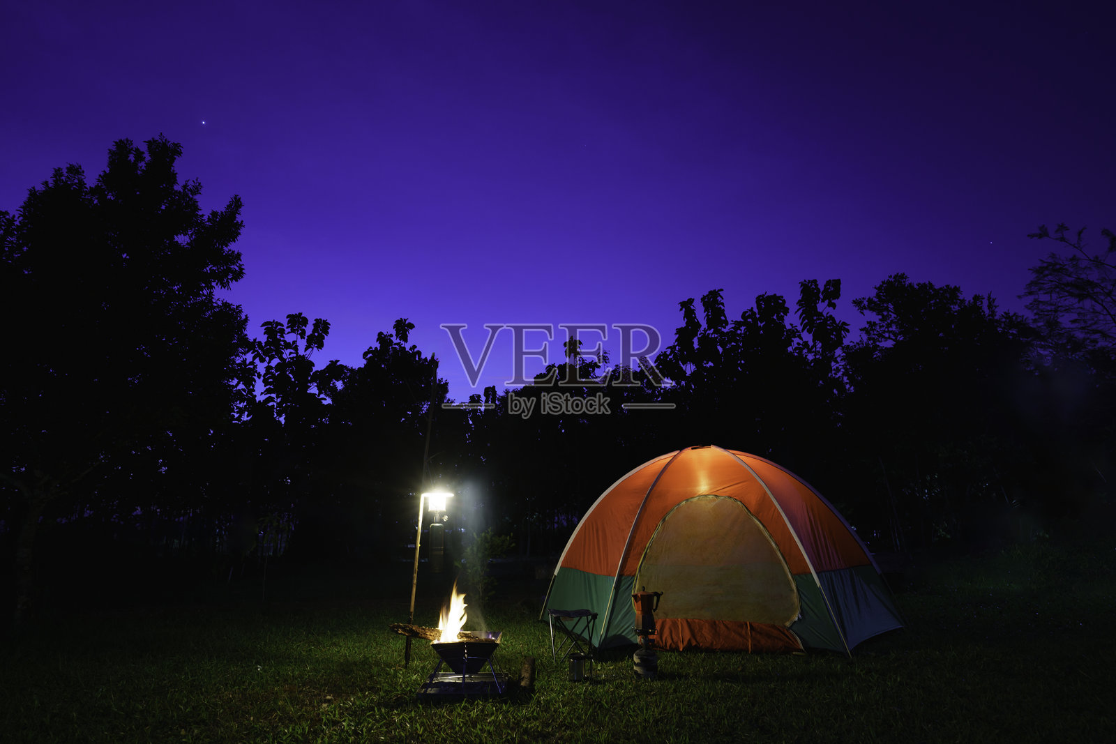 森林中的露营帐篷与绿色树木，夜间森林露营，小型煤气灯照片摄影图片
