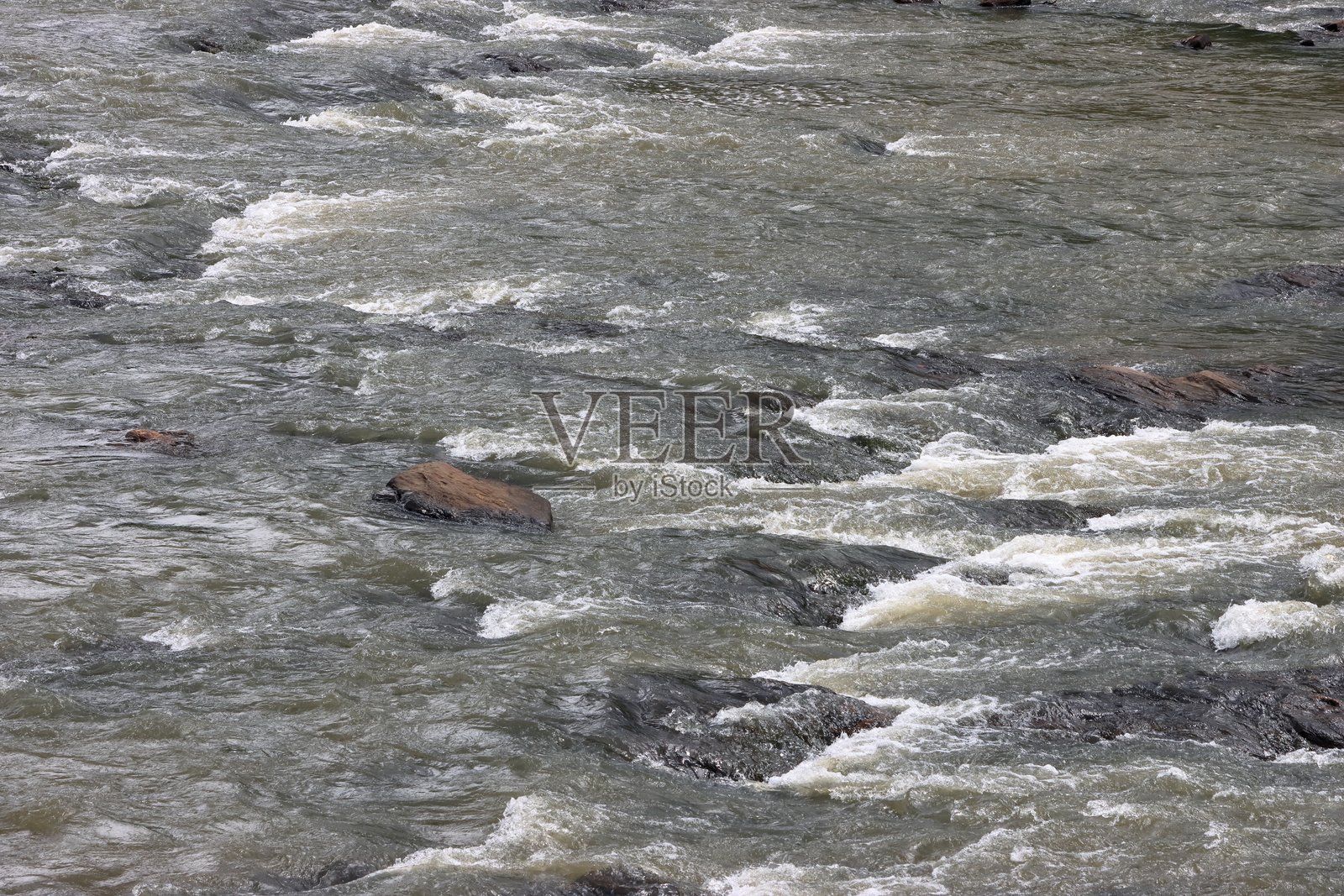 森林中的河流照片摄影图片