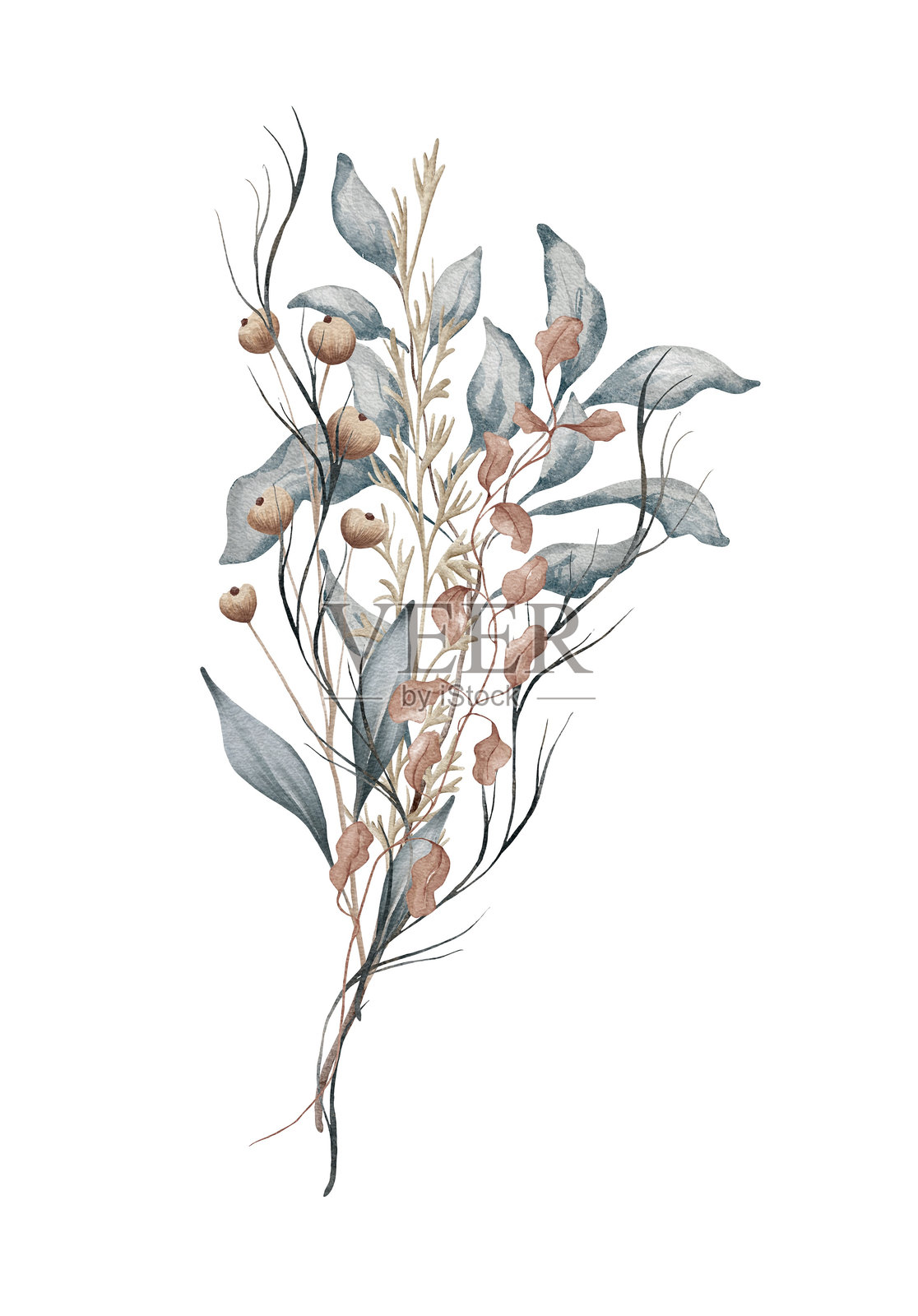 时尚的叶子，淡粉色和锈红色玫瑰婚礼花束。干花。米色、金色、棕色、锈色、灰褐色。水彩手绘花艺排列。插画图片素材