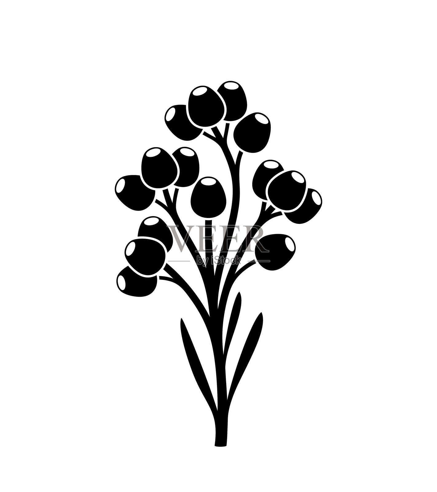 不死花标志。白色背景上的孤立不死花插画图片素材