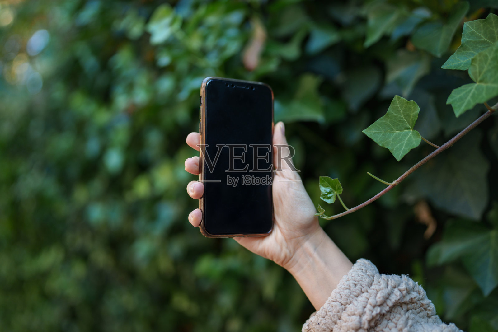 特写镜头展示一部空白屏幕的手机，背景是郁郁葱葱的植物。照片摄影图片