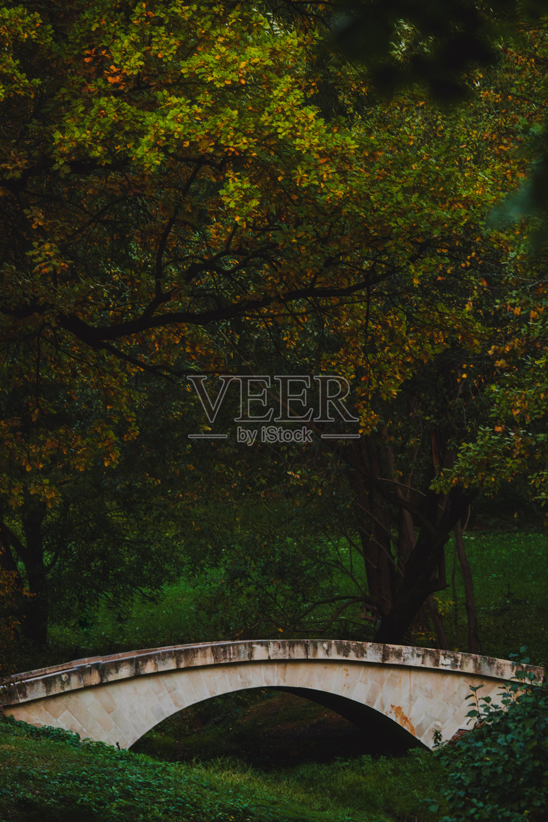 秋季郁郁葱葱的森林中的石桥照片摄影图片