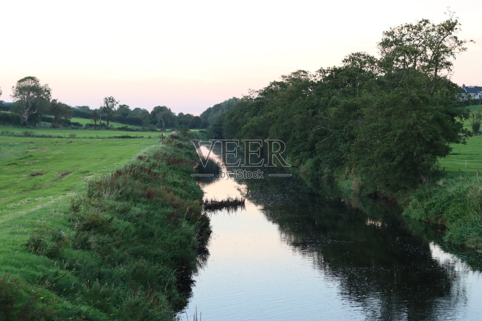 夏季沿河的景色，树木在静止的水面上倒映。照片摄影图片