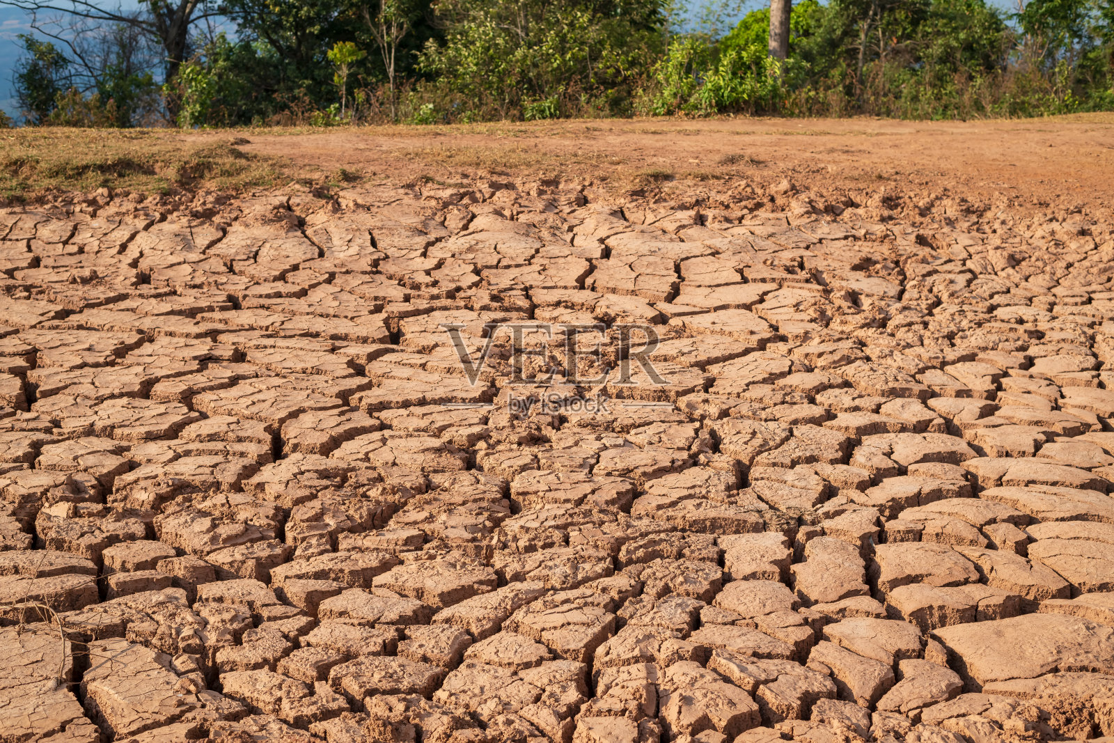 干旱裂开的土壤特写背景照片摄影图片