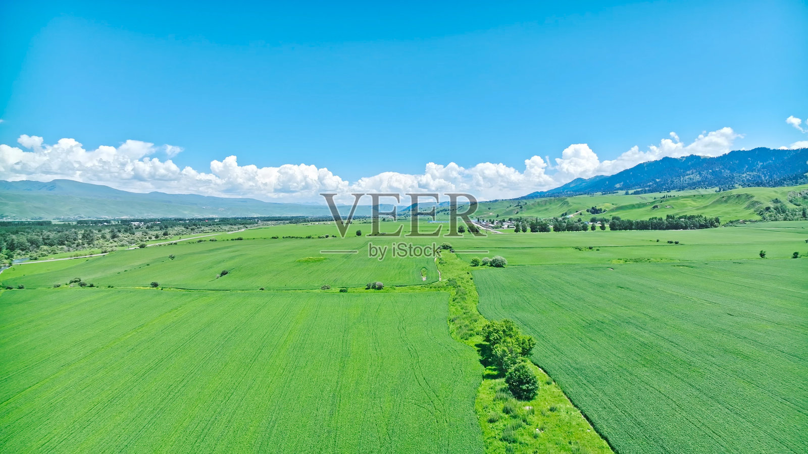 那拉提草原，那拉提国家森林公园，新源县，伊犁，新疆，中国，亚洲。那拉提风景区。照片摄影图片