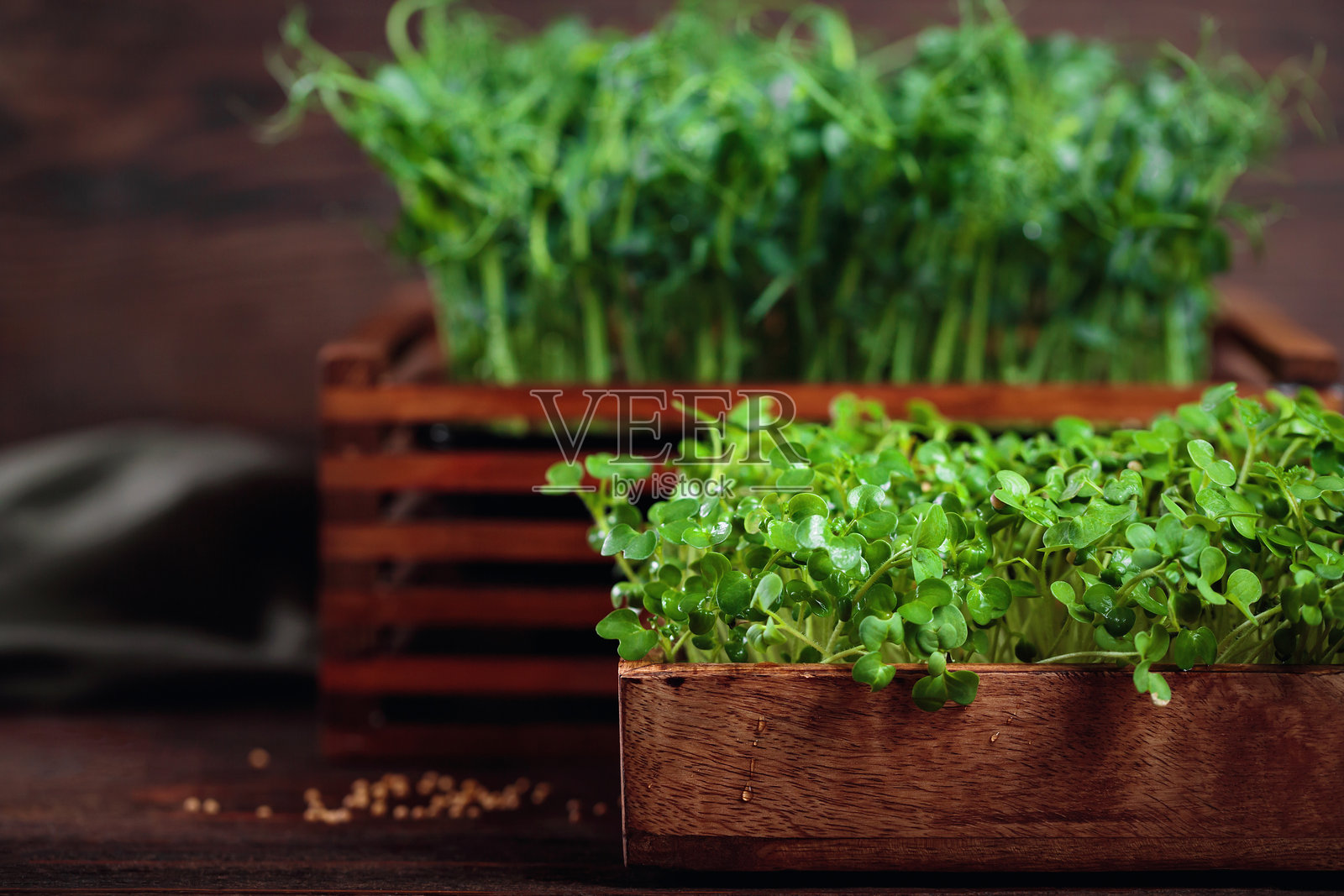 芥末微型绿叶特写照片摄影图片