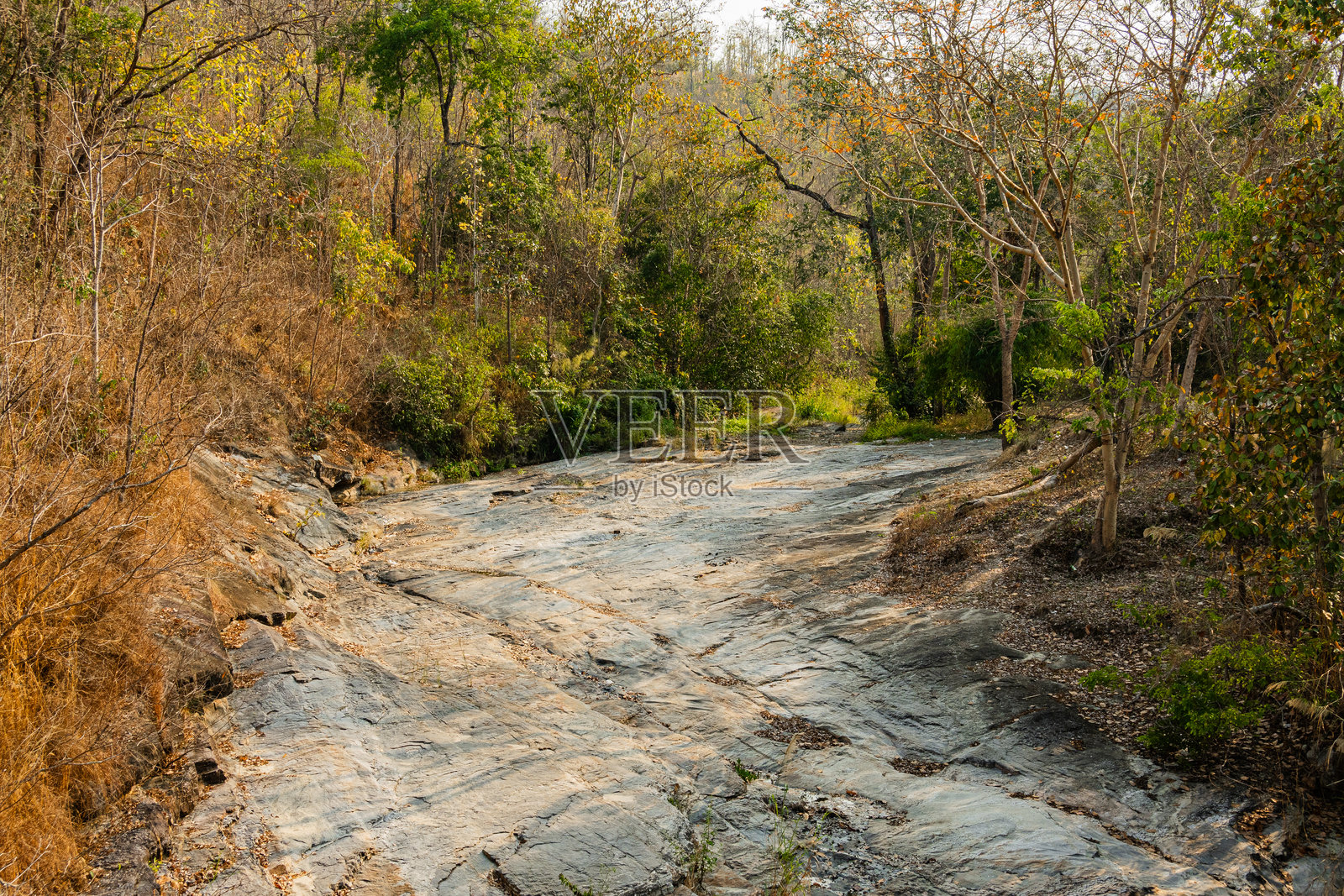 干旱的河流，岩石景观中点缀着植被，泰国清迈照片摄影图片