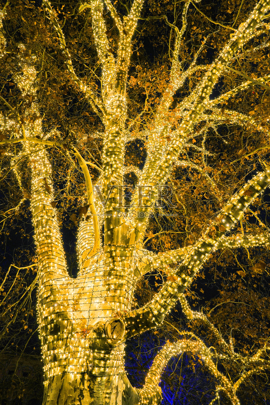 维也纳的传统圣诞装饰照片摄影图片