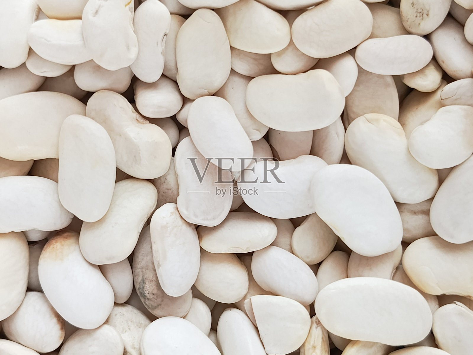 白豆特写。豆科植物的食物。广告和文本的背景。照片摄影图片