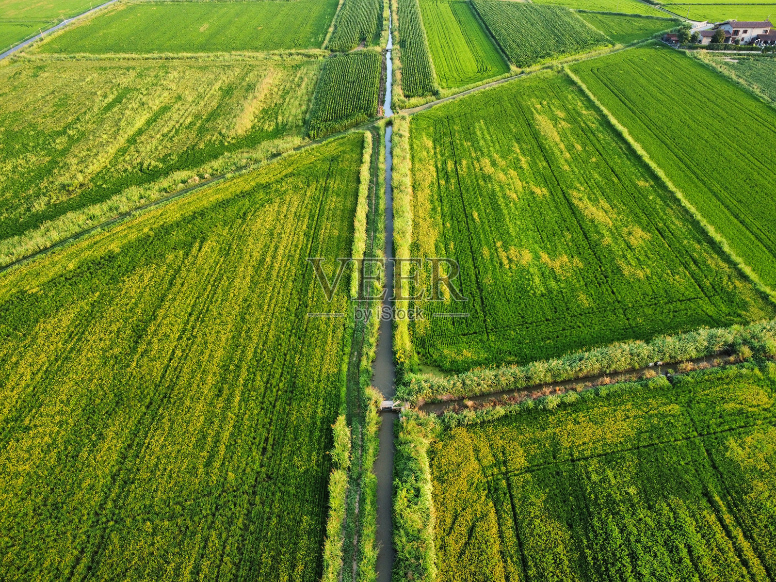 农业田地的高角度视图照片摄影图片
