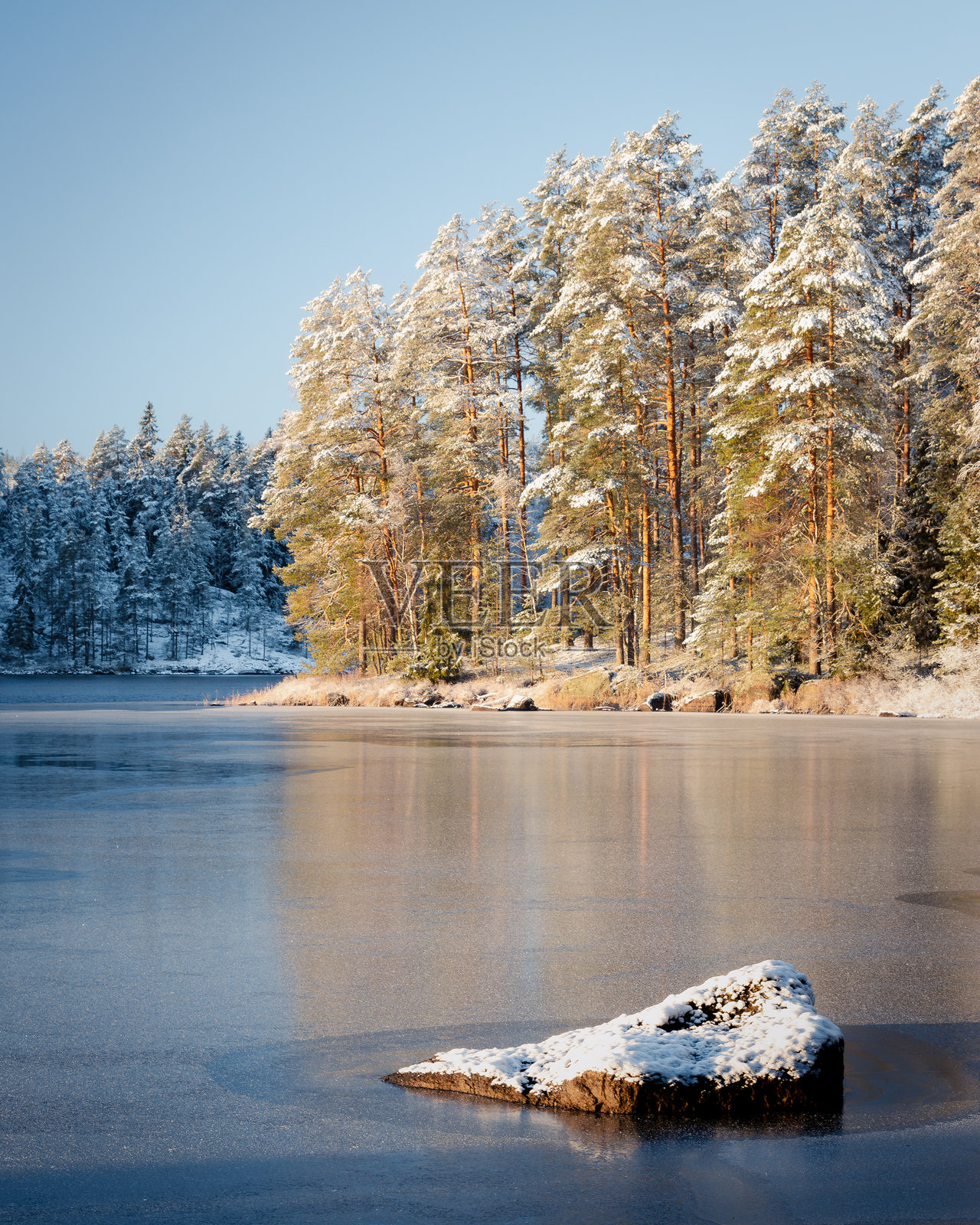 Repovesi国家公园的风景照片摄影图片