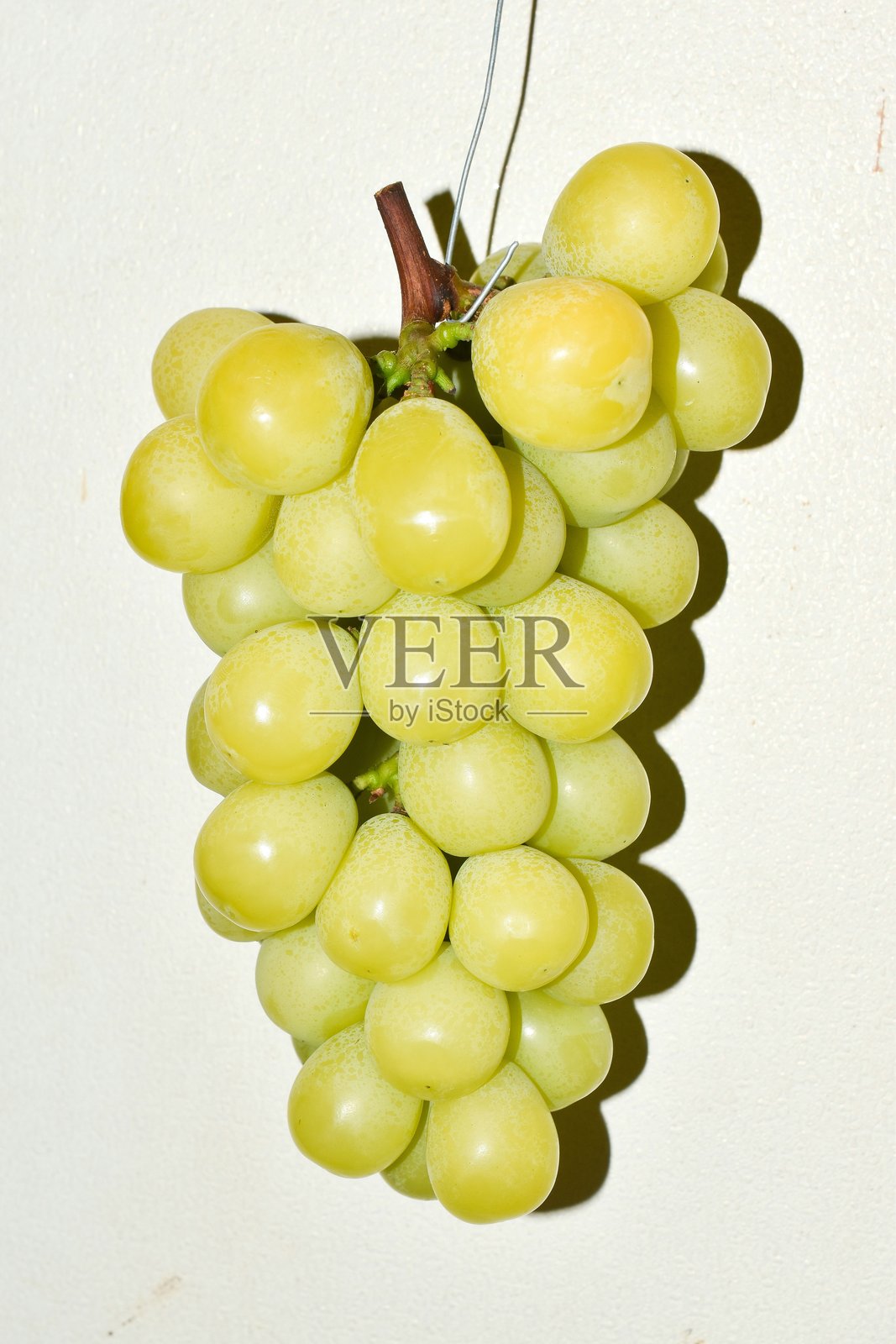 葡萄照片摄影图片