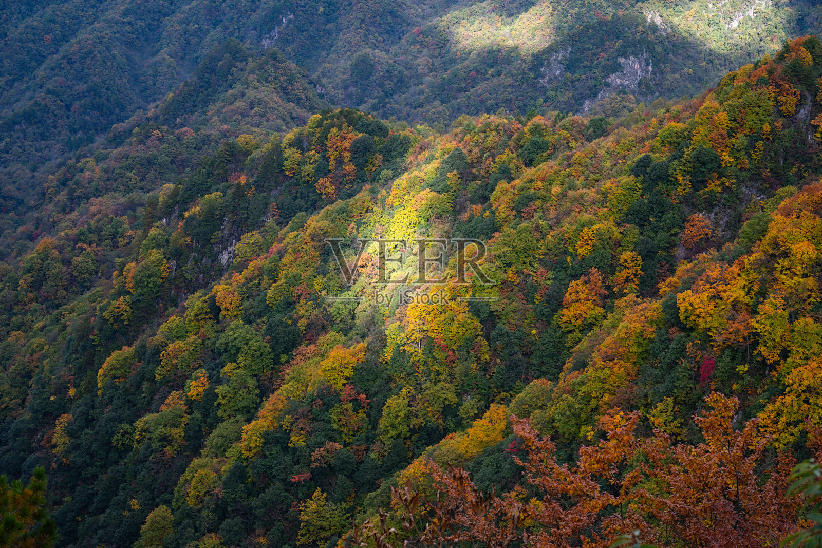 四川巴中光雾山风景区周围的五彩森林和红叶，从光雾山镇到石坝月潭065乡道照片摄影图片