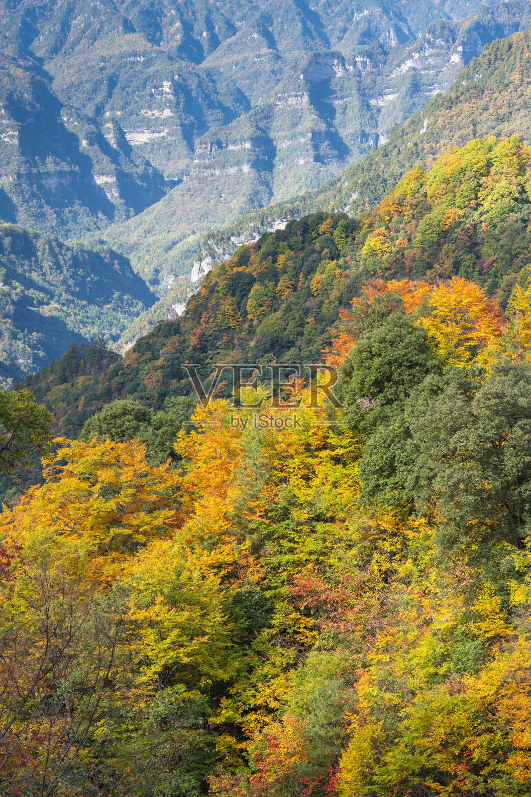 四川巴中光雾山风景区周围的五彩森林和红叶，从光雾山镇到石坝月潭065乡道照片摄影图片