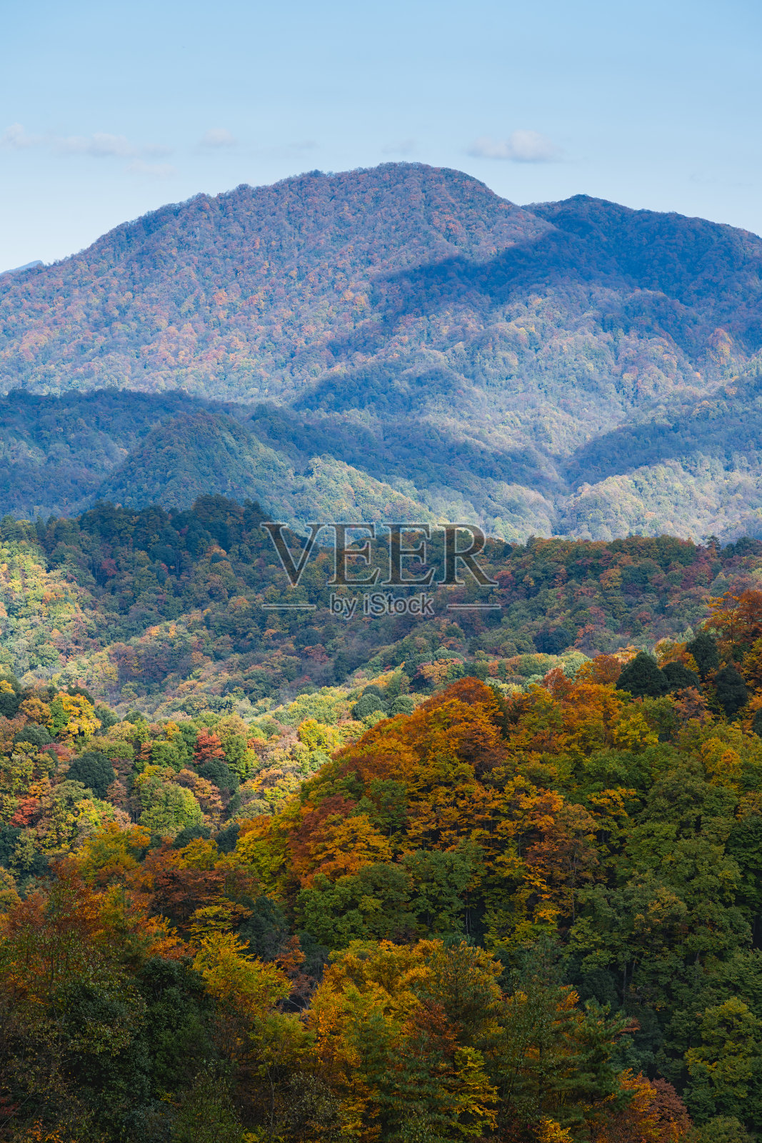 四川巴中光雾山风景区周围的五彩森林和红叶，从光雾山镇到石坝月潭065乡道照片摄影图片