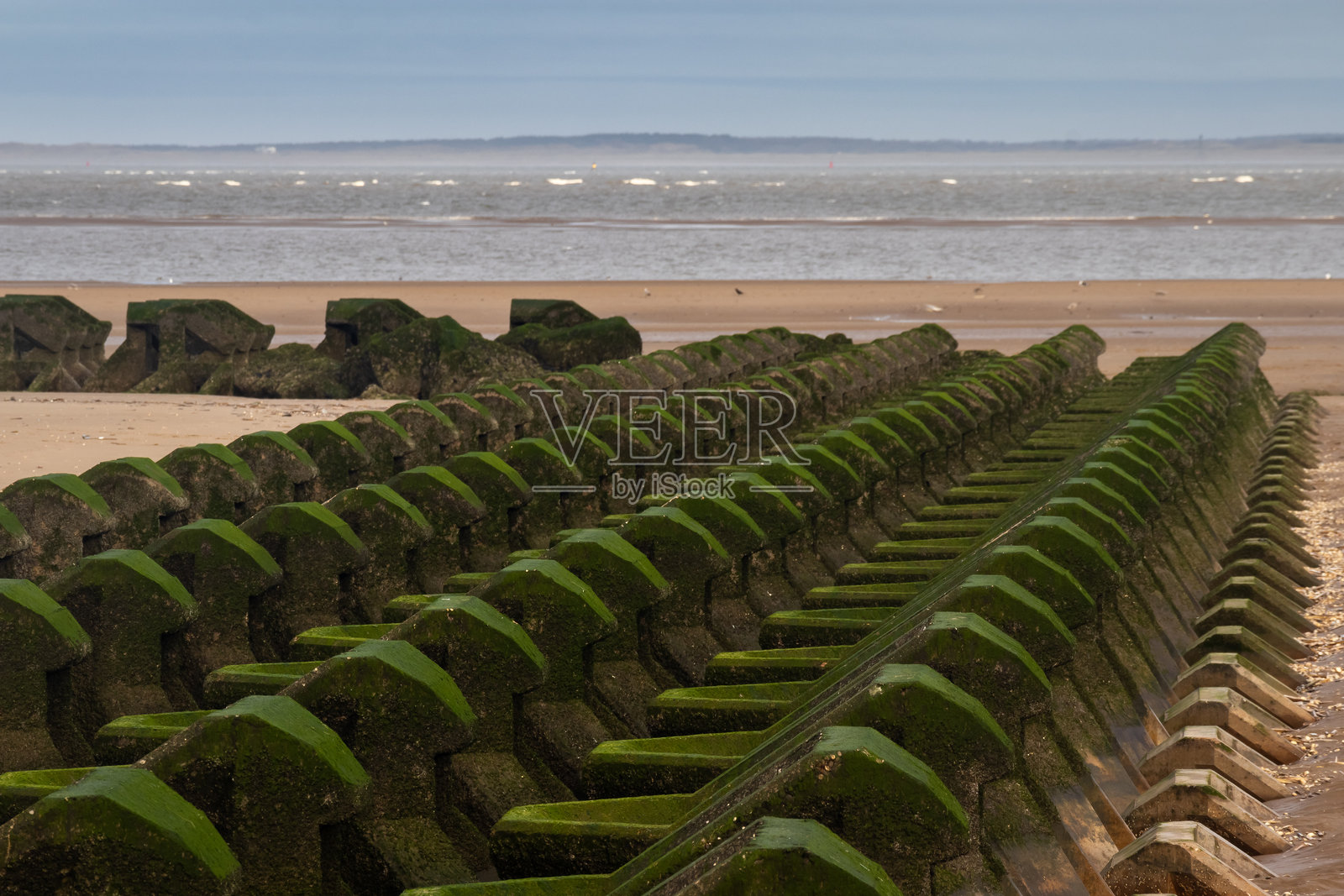 英国梅西萨德郡威拉尔新布莱顿海岸的绿色海藻覆盖的混凝土防波堤照片摄影图片