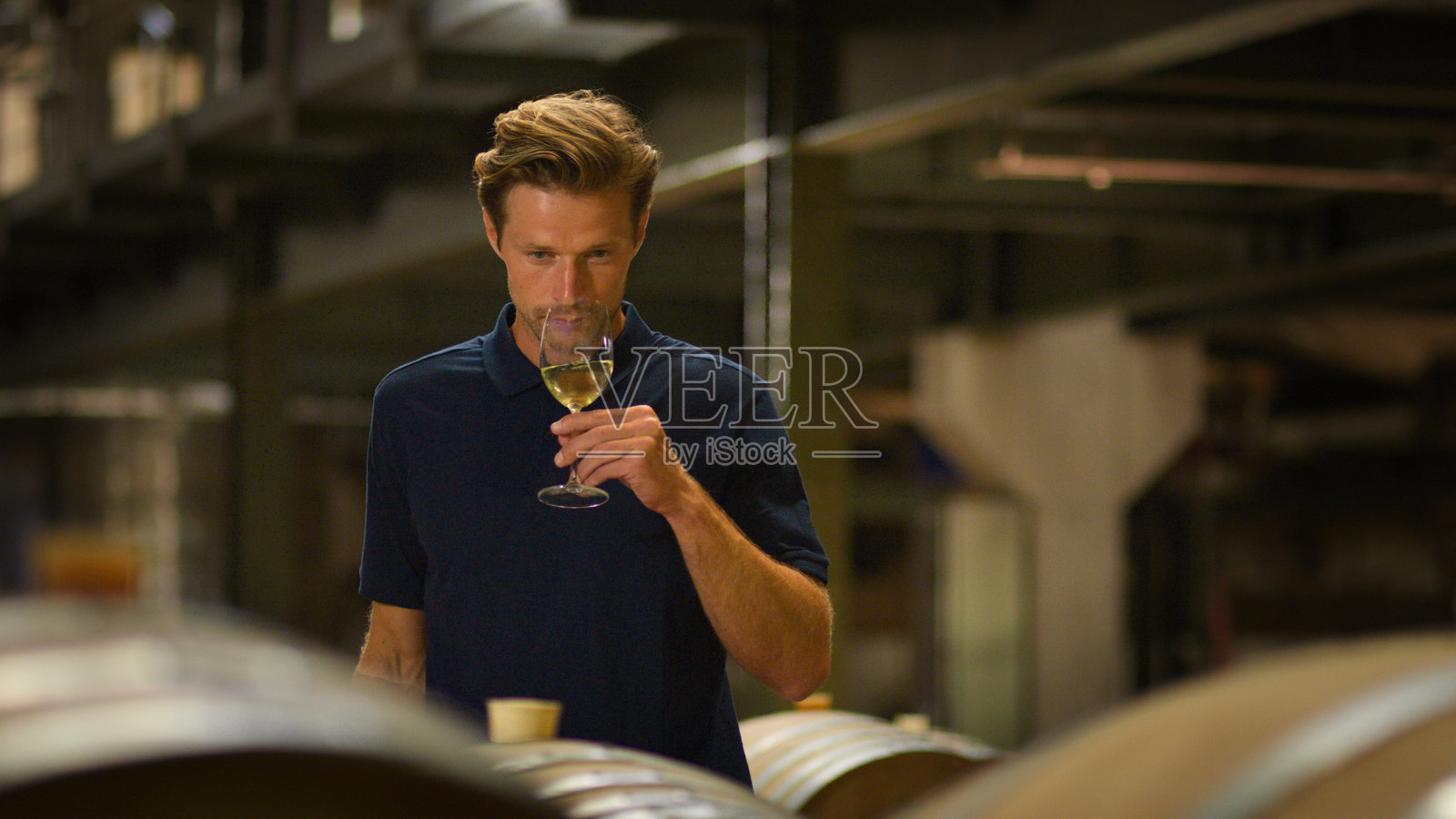 男子在葡萄园或酒庄检查酒桶中葡萄酒的质量和香气照片摄影图片