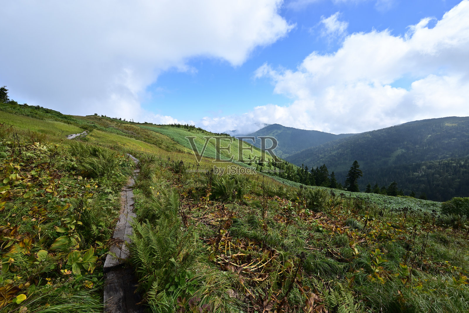 攀登福岛的会津小卷岳照片摄影图片