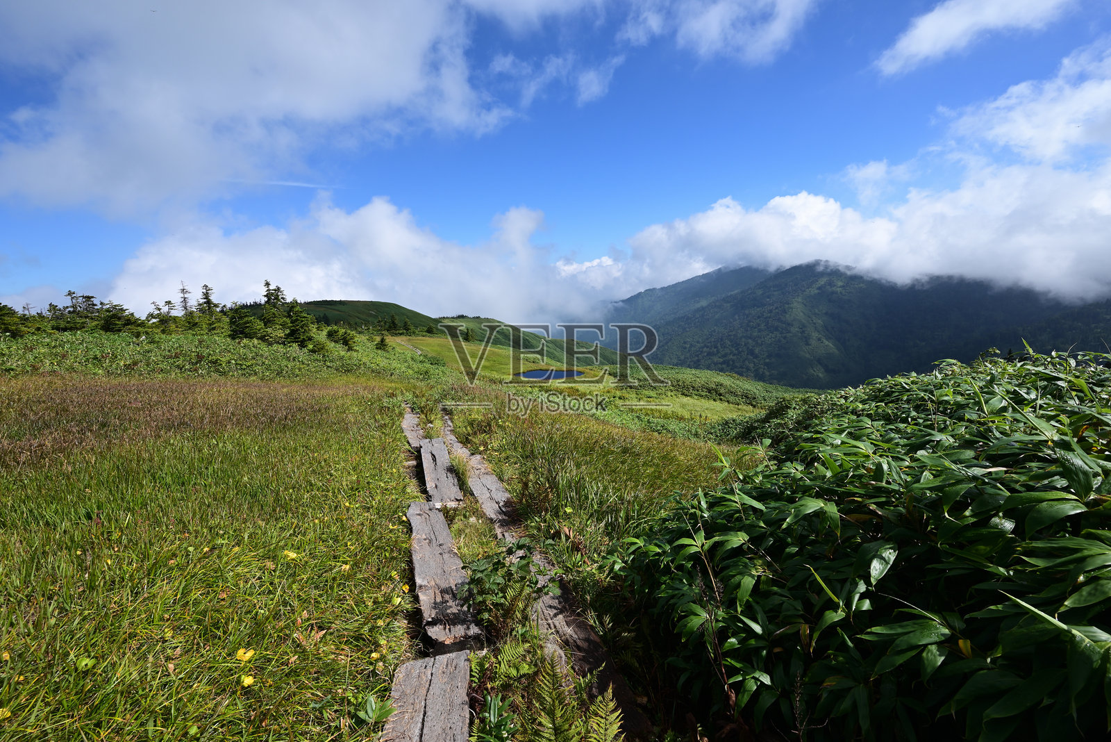 攀登福岛的会津小卷岳照片摄影图片