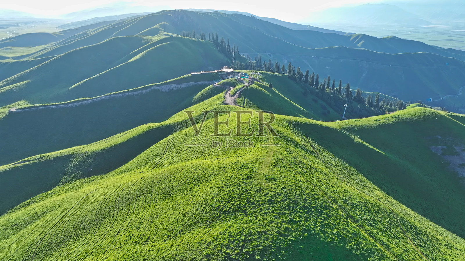 那拉提草原，纳拉特国家森林公园，新源县，伊犁，新疆，中国，亚洲。那拉提风景区。照片摄影图片